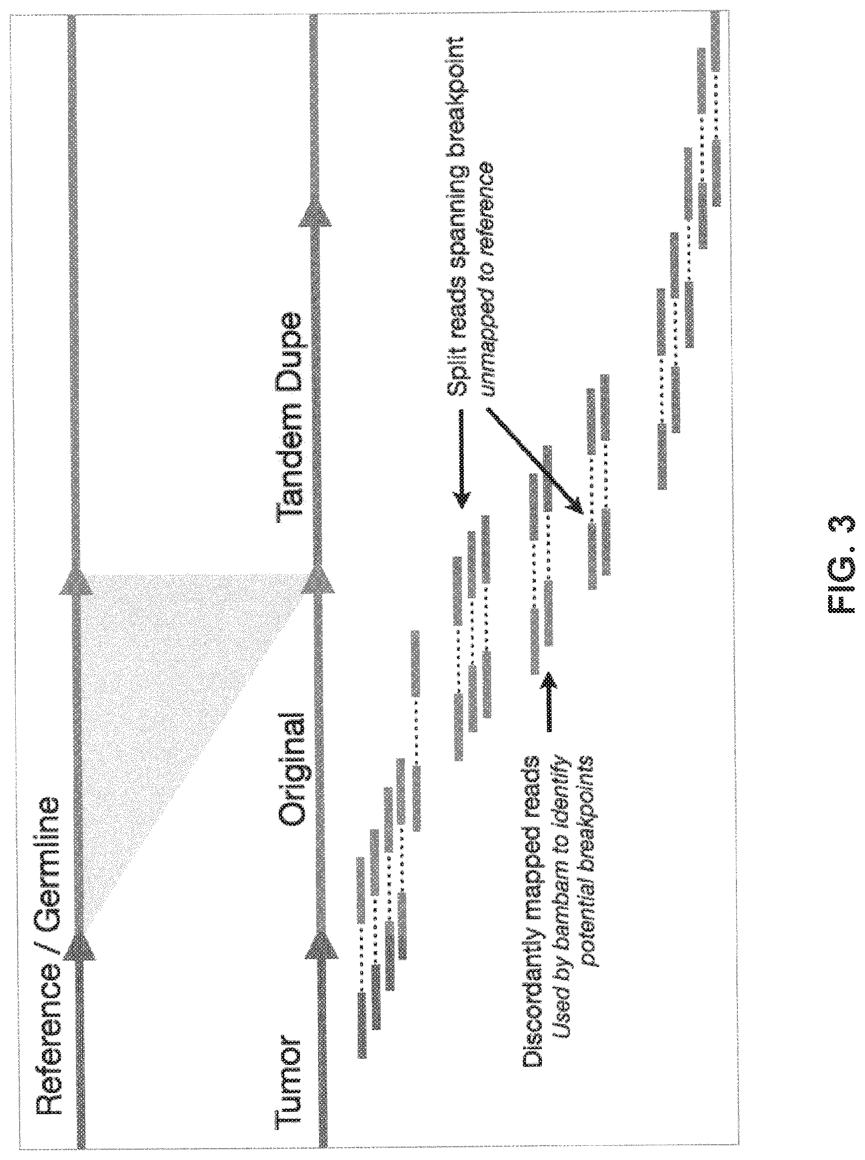 Patent US12620454 Figure 3 – BAMBAM: parallel comparative analysis of high-throughput sequencing data