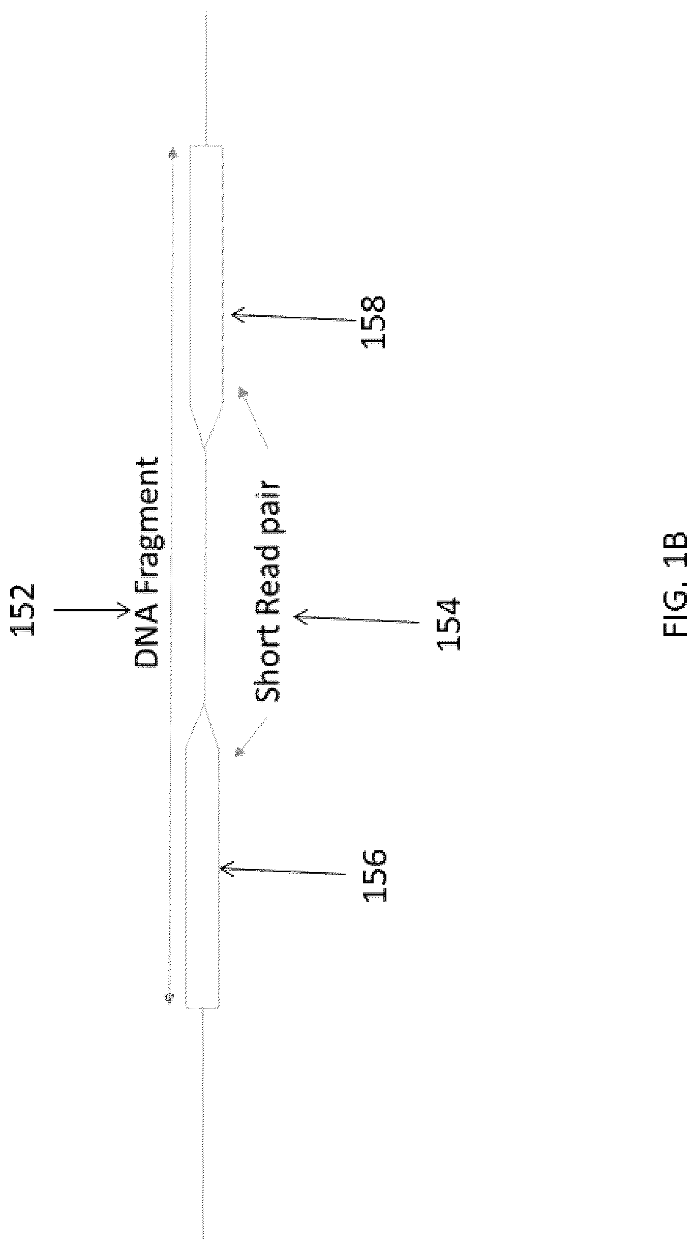 Patent US12620455 Figure 2 – Merging duplicate marking to optimize computer operations for gene sequencing pipeline