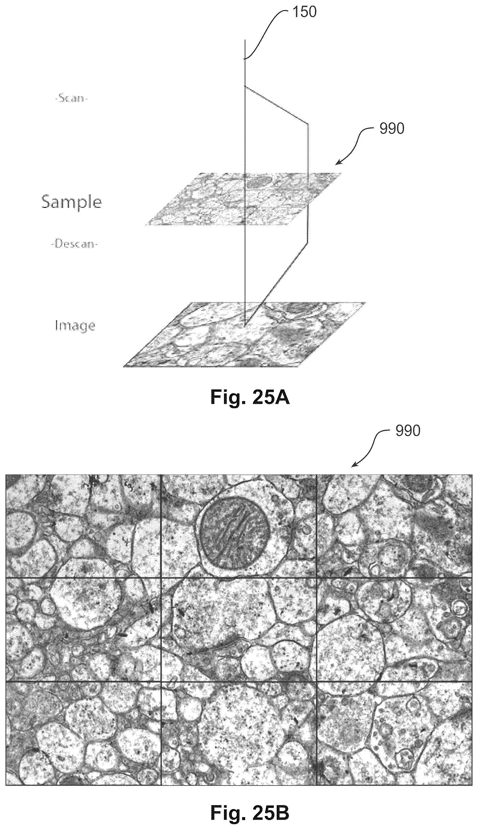 Patent US12620548 Figure 15 – Transmission electron microscopy