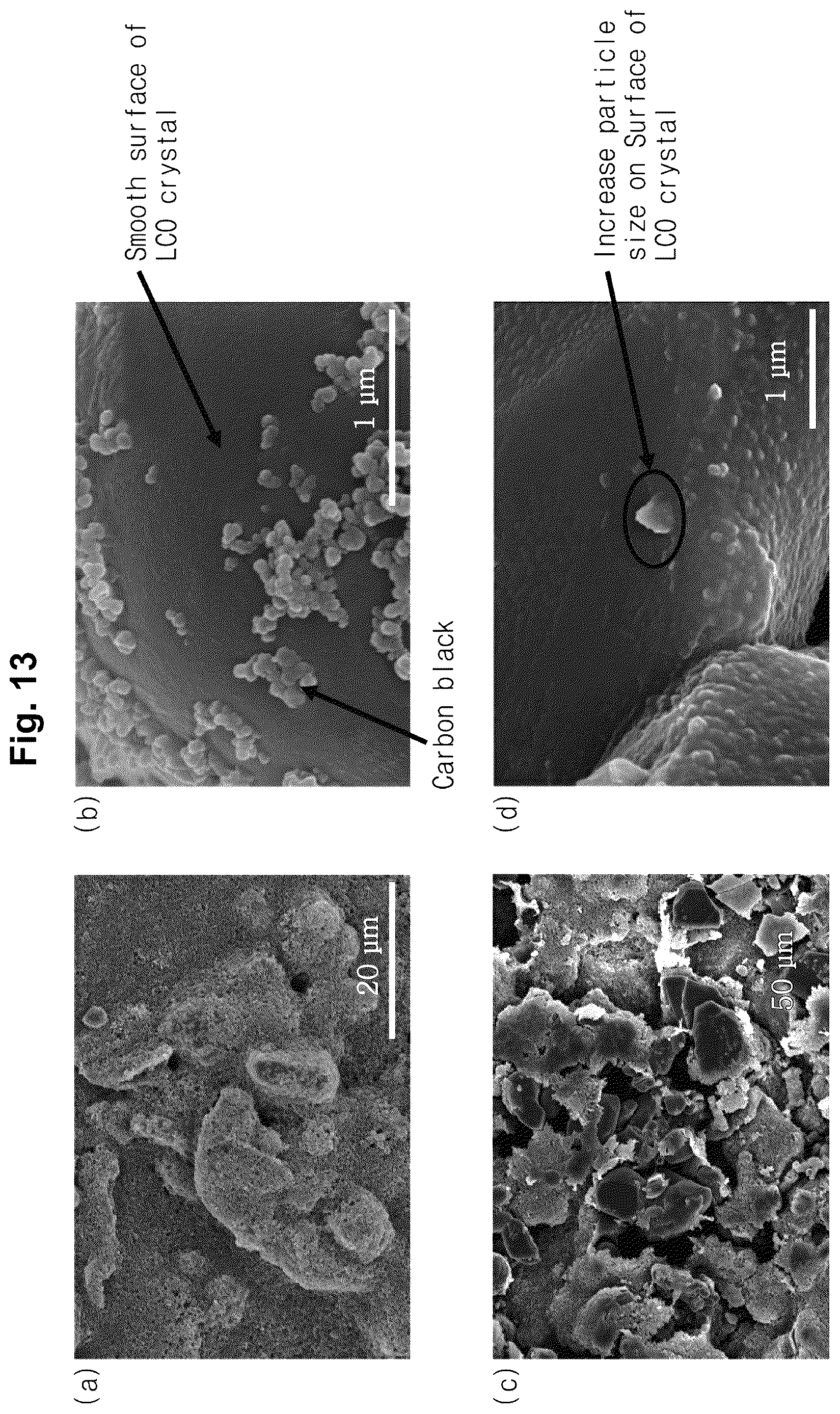 Patent US12620596 Figure 10 – Graphene-doped lithium iron phosphate active material and method for preparing the same