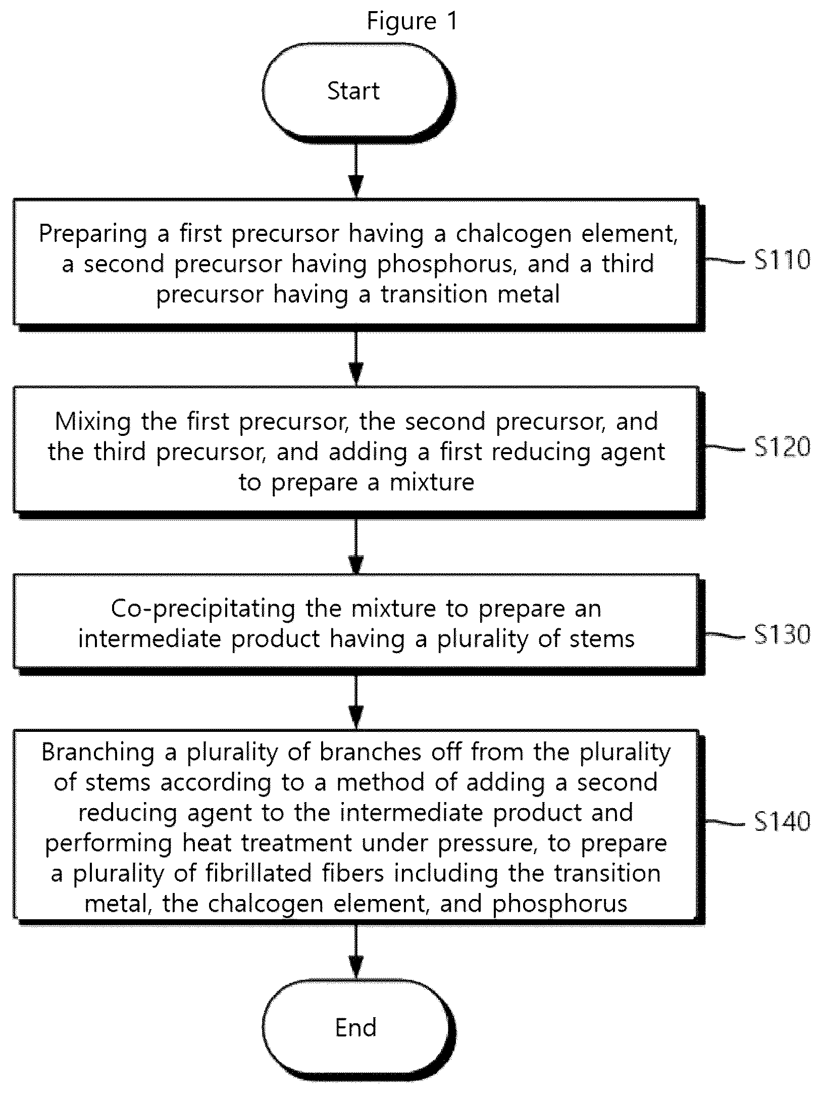 Patent US12620652 Figure 1 – Electrode structure, electrode structure for positive electrode of metal-air battery comprising same, and methods for manufacturing same