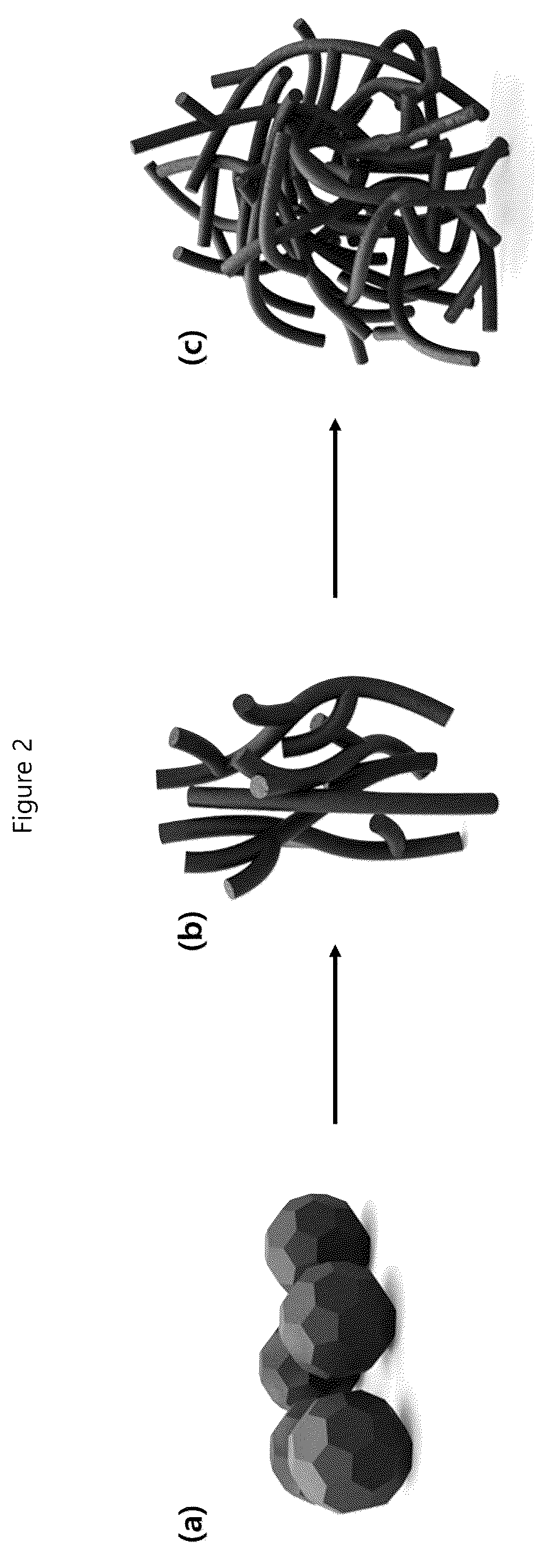 Patent US12620652 Figure 2 – Electrode structure, electrode structure for positive electrode of metal-air battery comprising same, and methods for manufacturing same