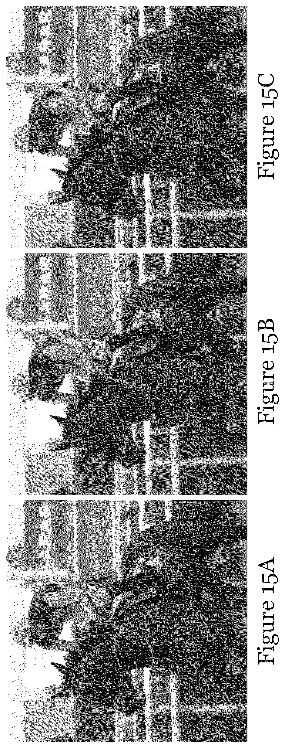 Patent US12621486 Figure 17 – Computer-implemented method and system for video coding