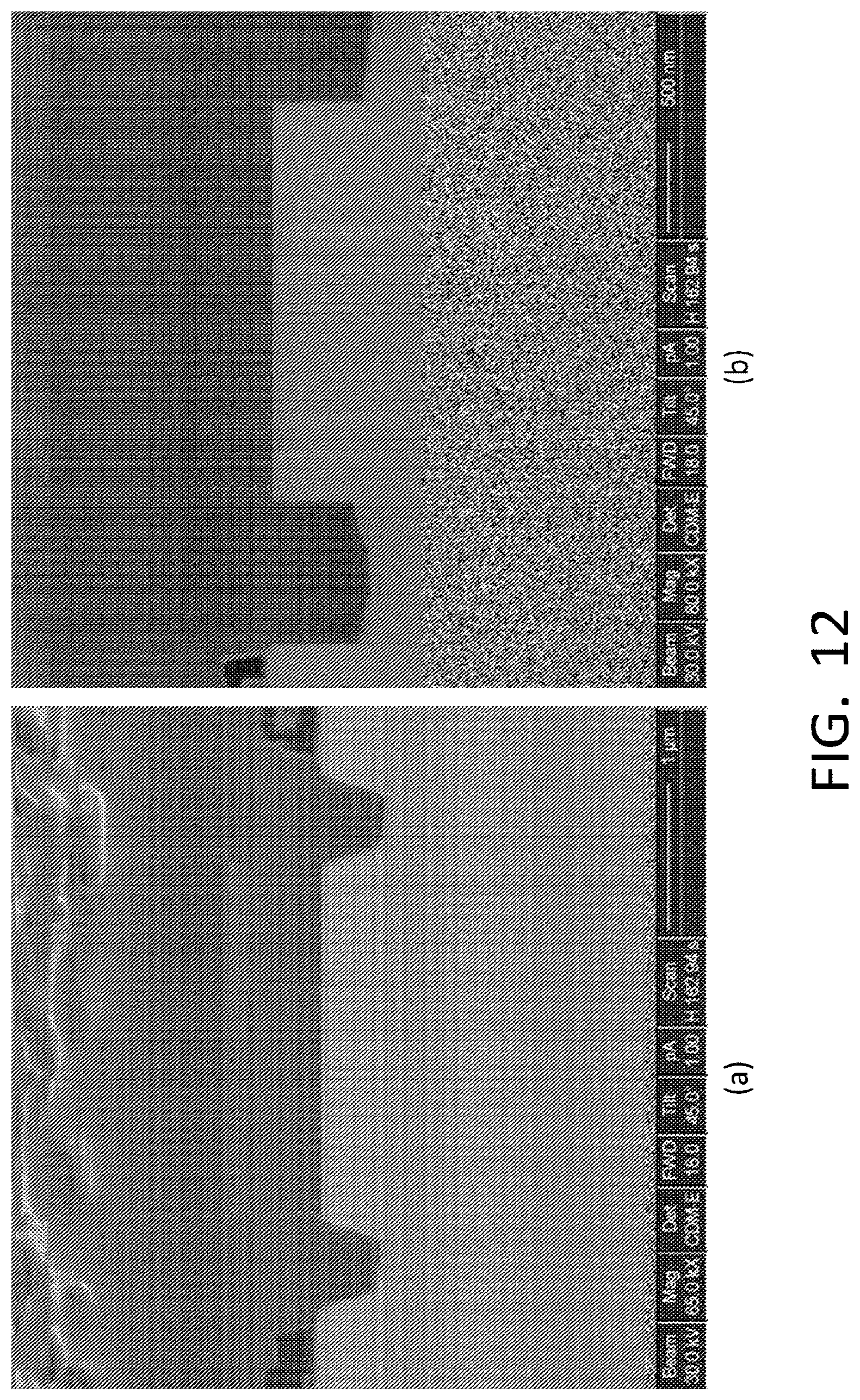 Patent US12622121 Figure 12 – Monolithic LED array and a precursor thereto