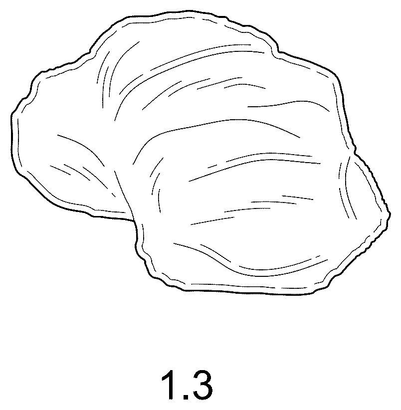 Patent USD1123299 Figure 3 – Potato