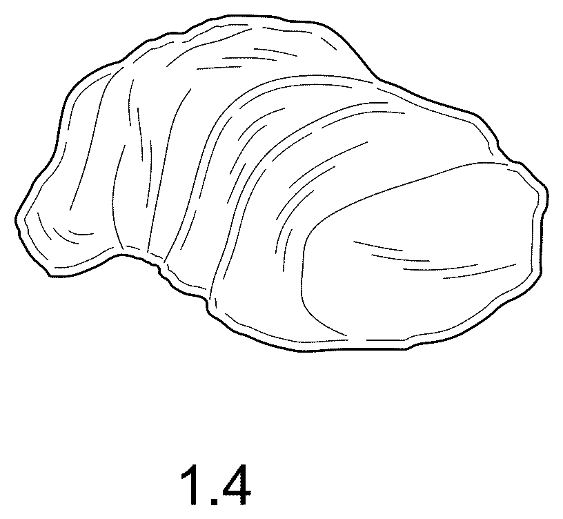 Patent USD1123299 Figure 4 – Potato