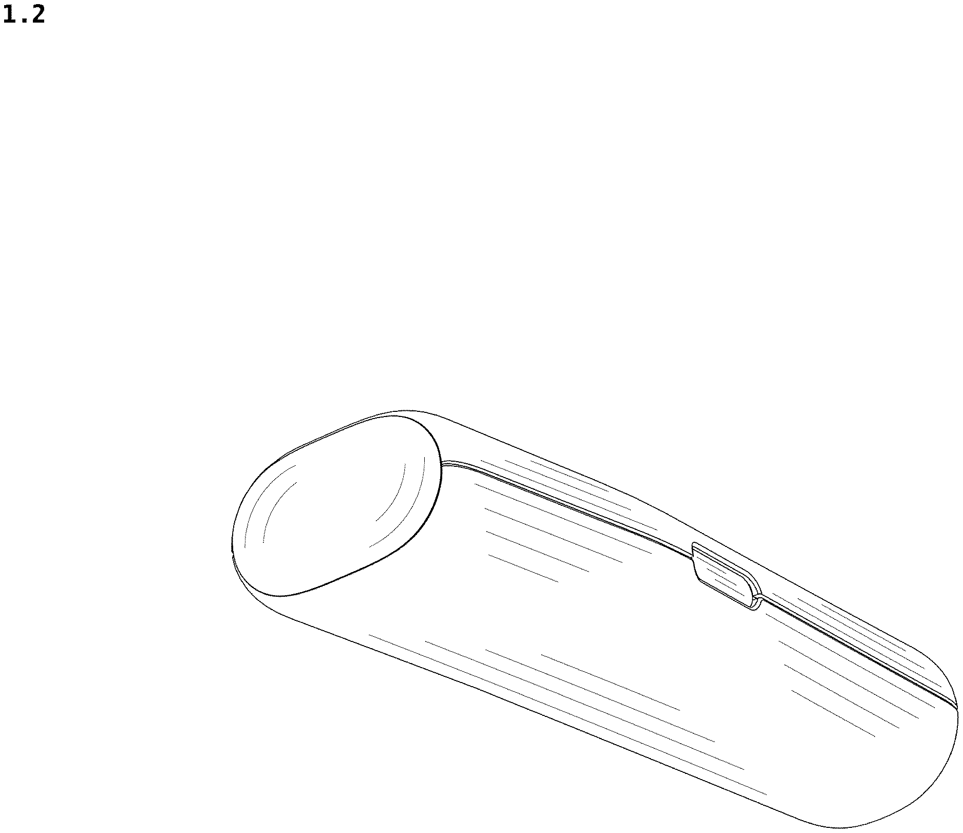 Patent USD1123353 Figure 2 – Oral cleansing device case