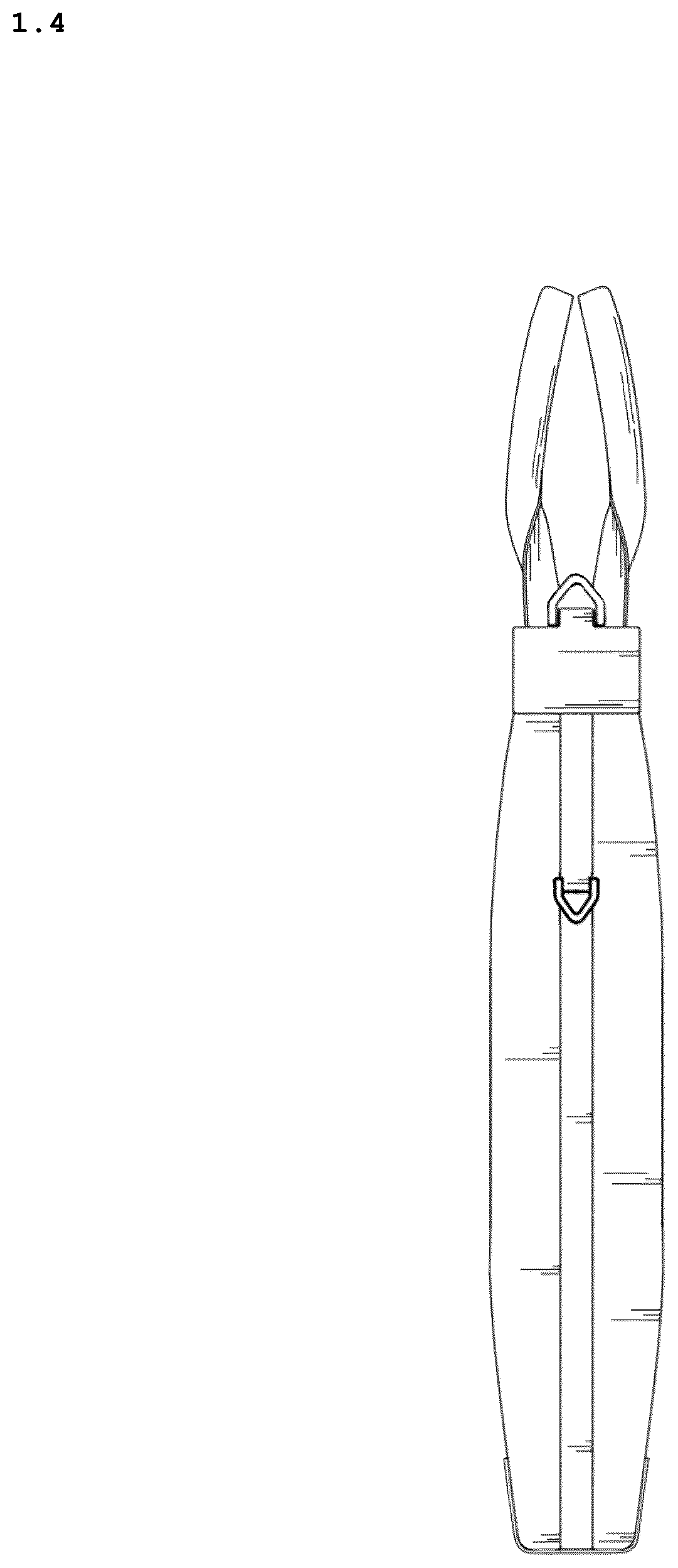 Patent USD1123373 Figure 4 – Bag