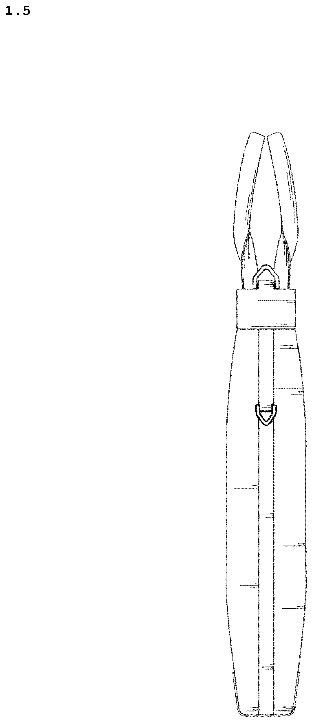 Patent USD1123373 Figure 5 – Bag