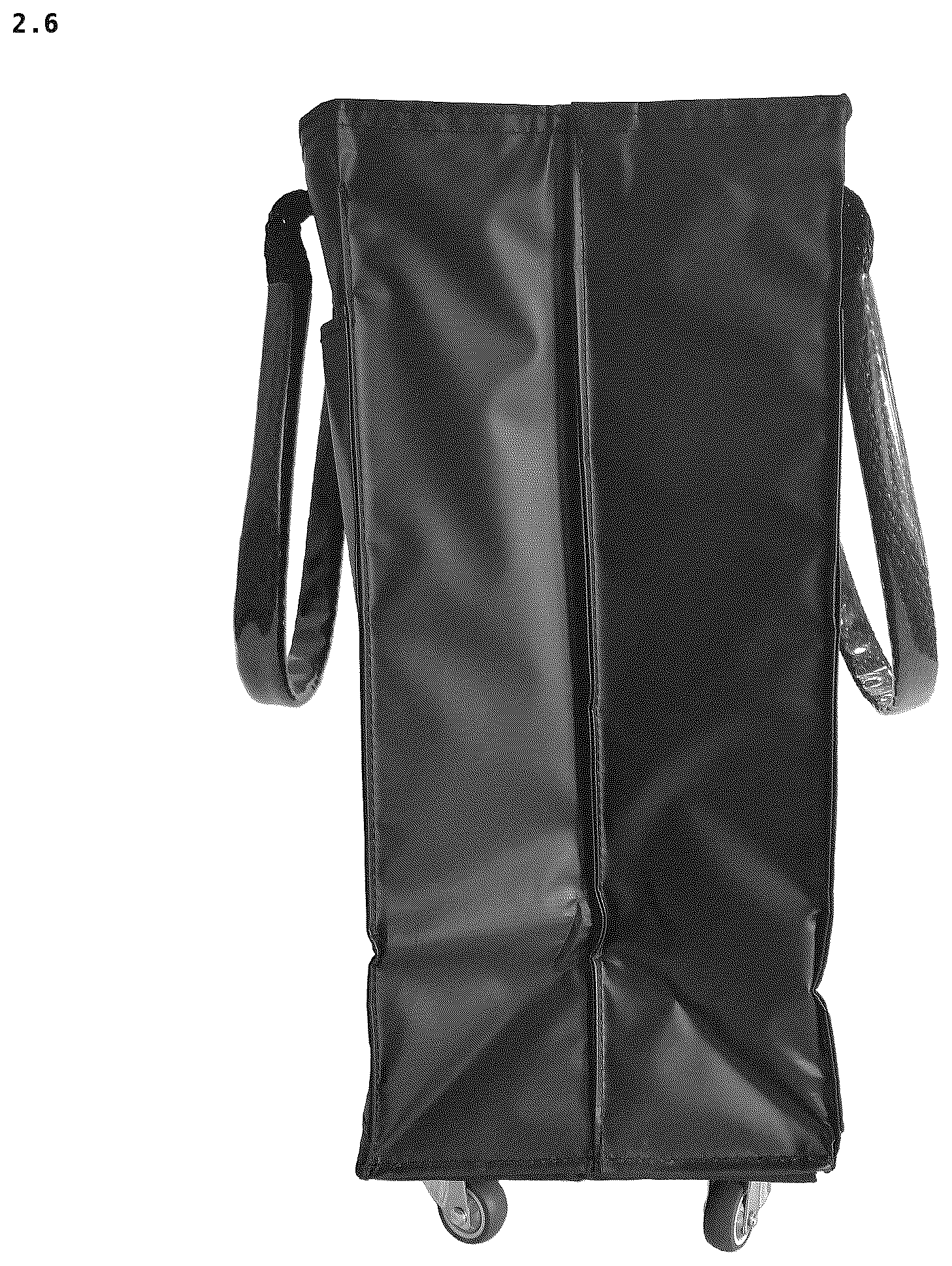 Patent USD1123384 Figure 6 – Cabin bag with wheels