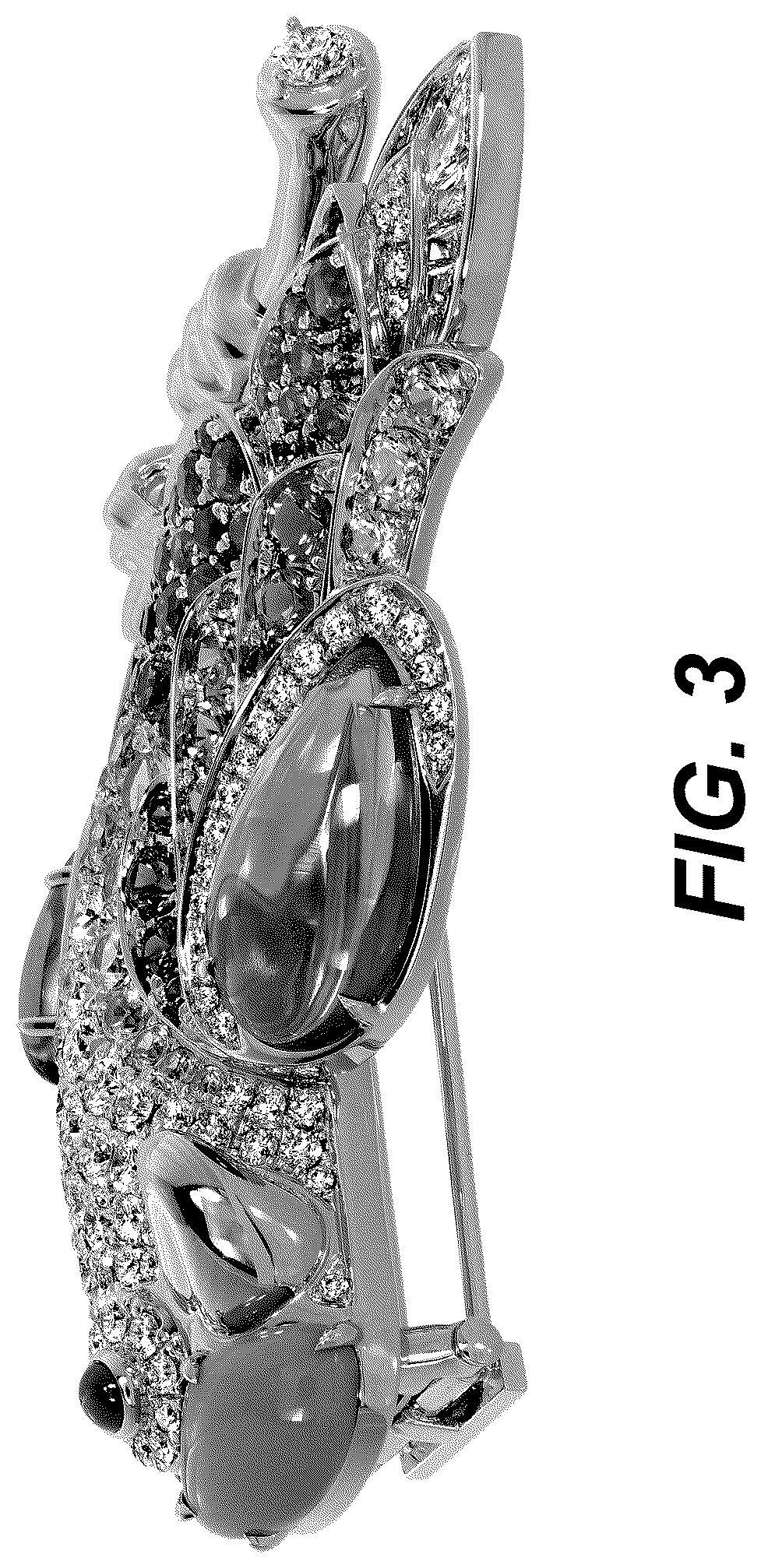 Patent USD1123696 Figure 3 – Brooch