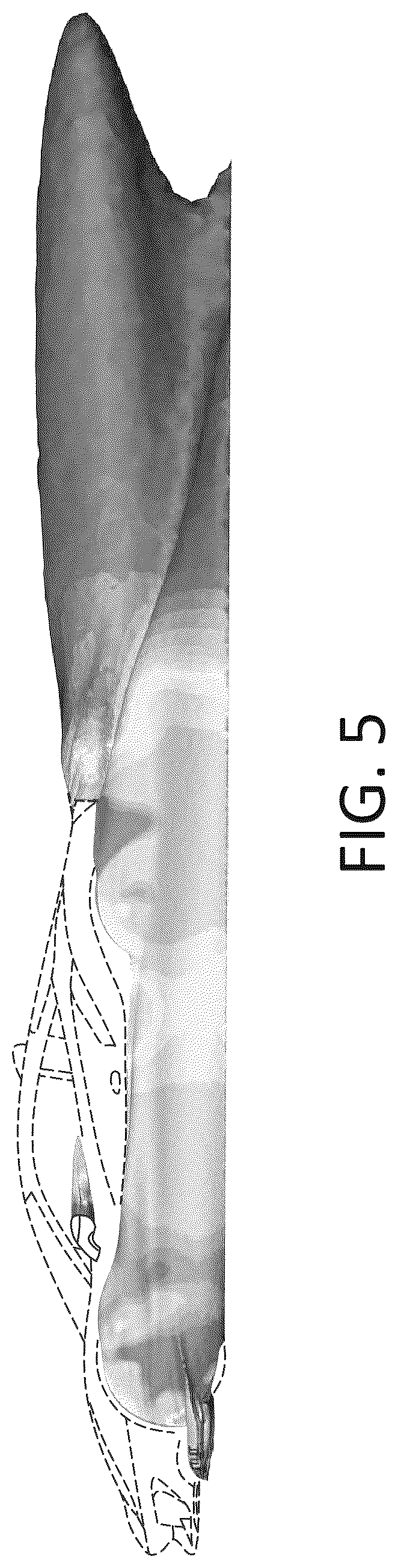 Patent USD1123704 Figure 5 – Decorative ornament