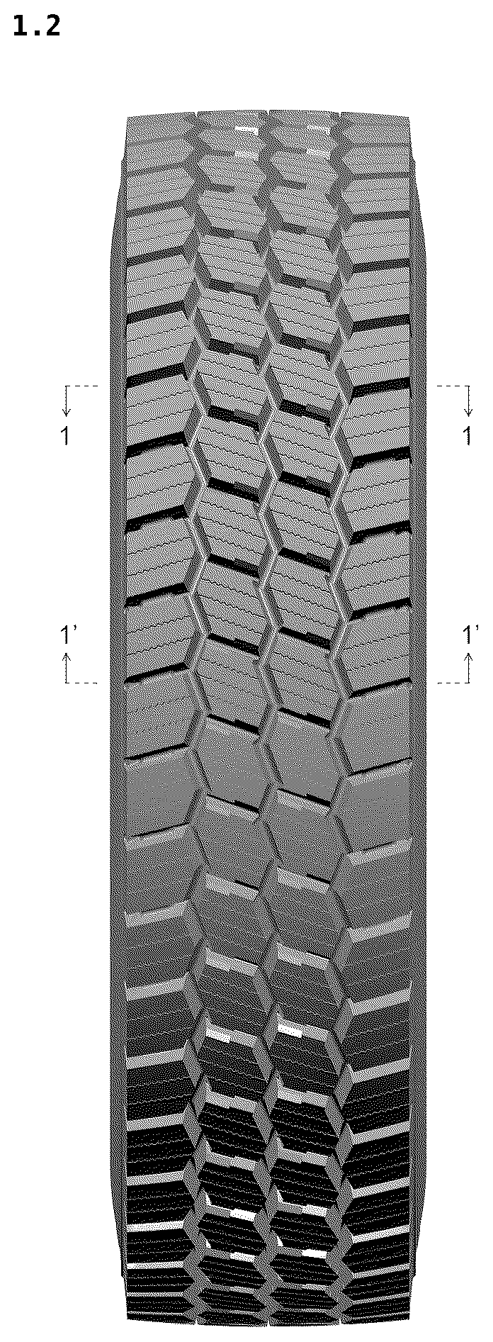 Patent USD1123805 Figure 2 – Tire