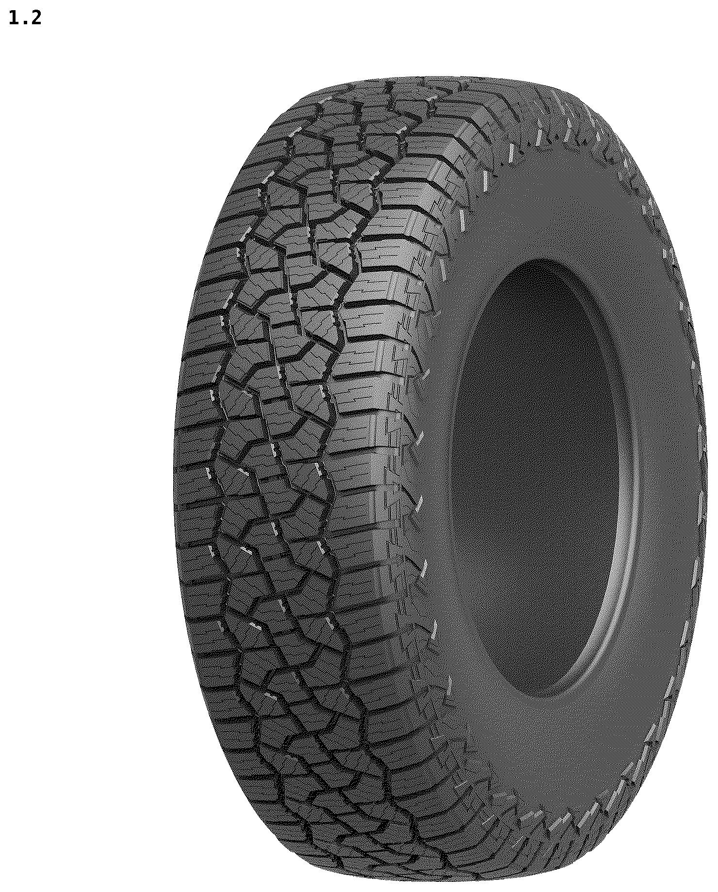 Patent USD1123807 Figure 2 – Tire