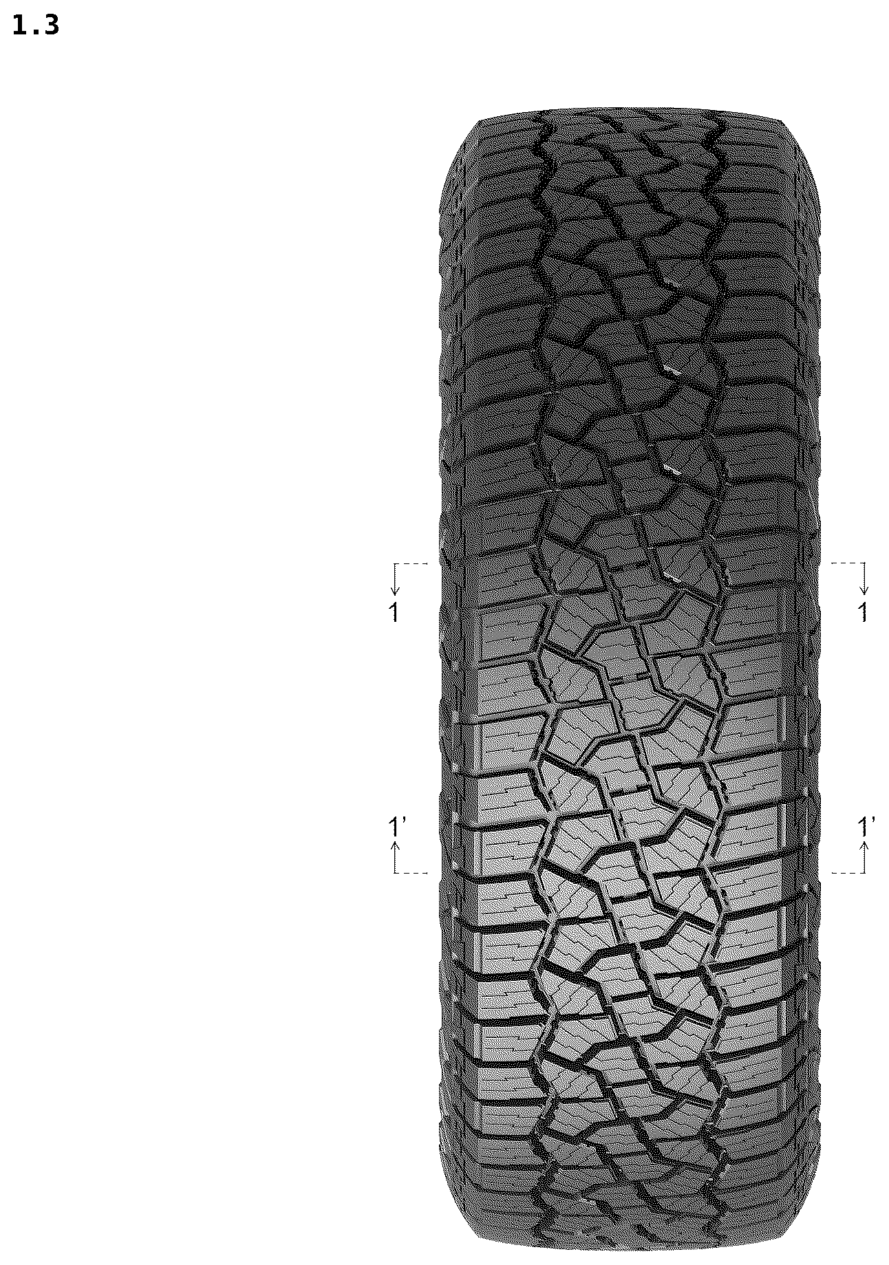 Patent USD1123807 Figure 3 – Tire