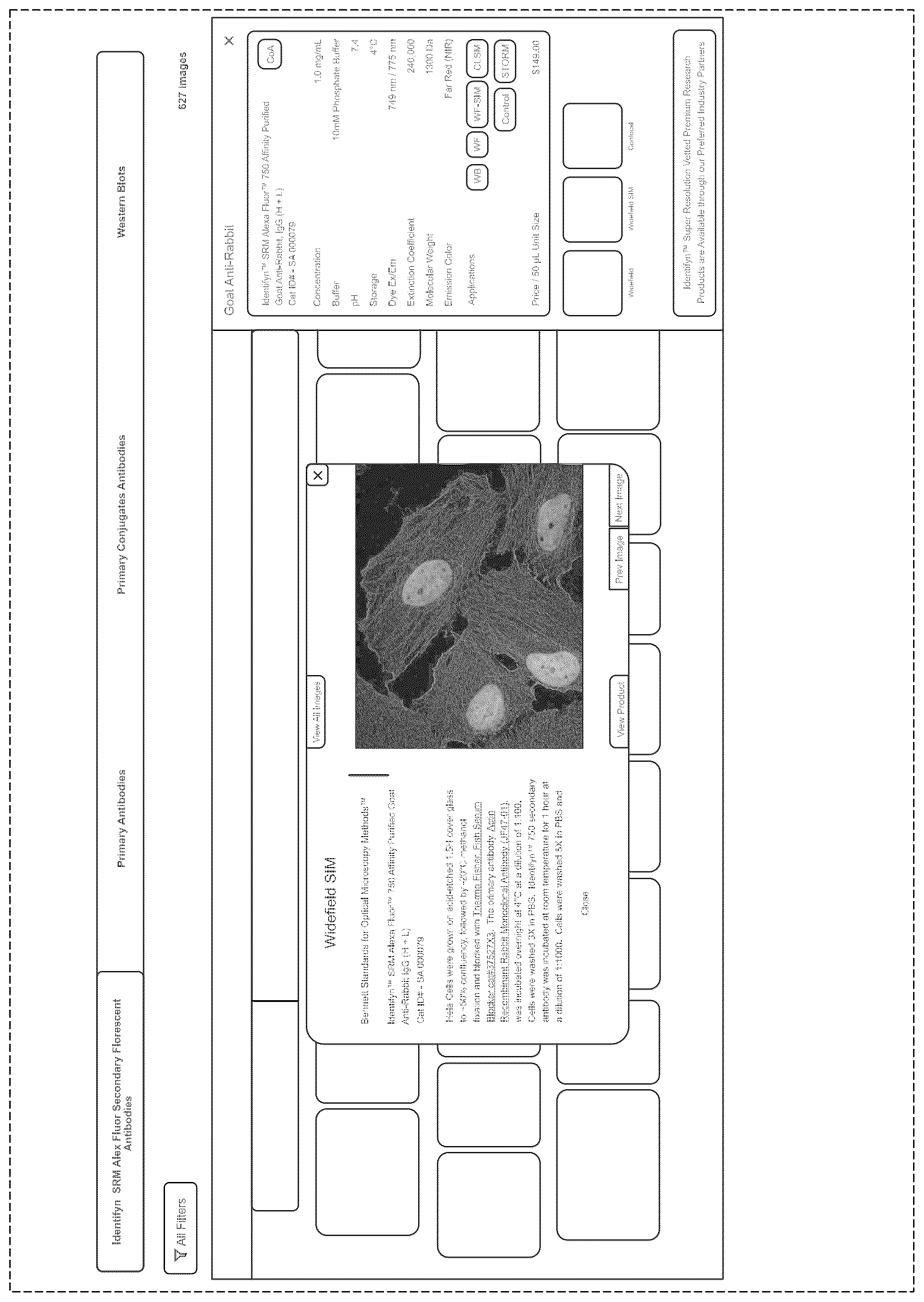 Patent USD1123986 Figure 1 – Computing device display screen or portion thereof with a graphical user interface