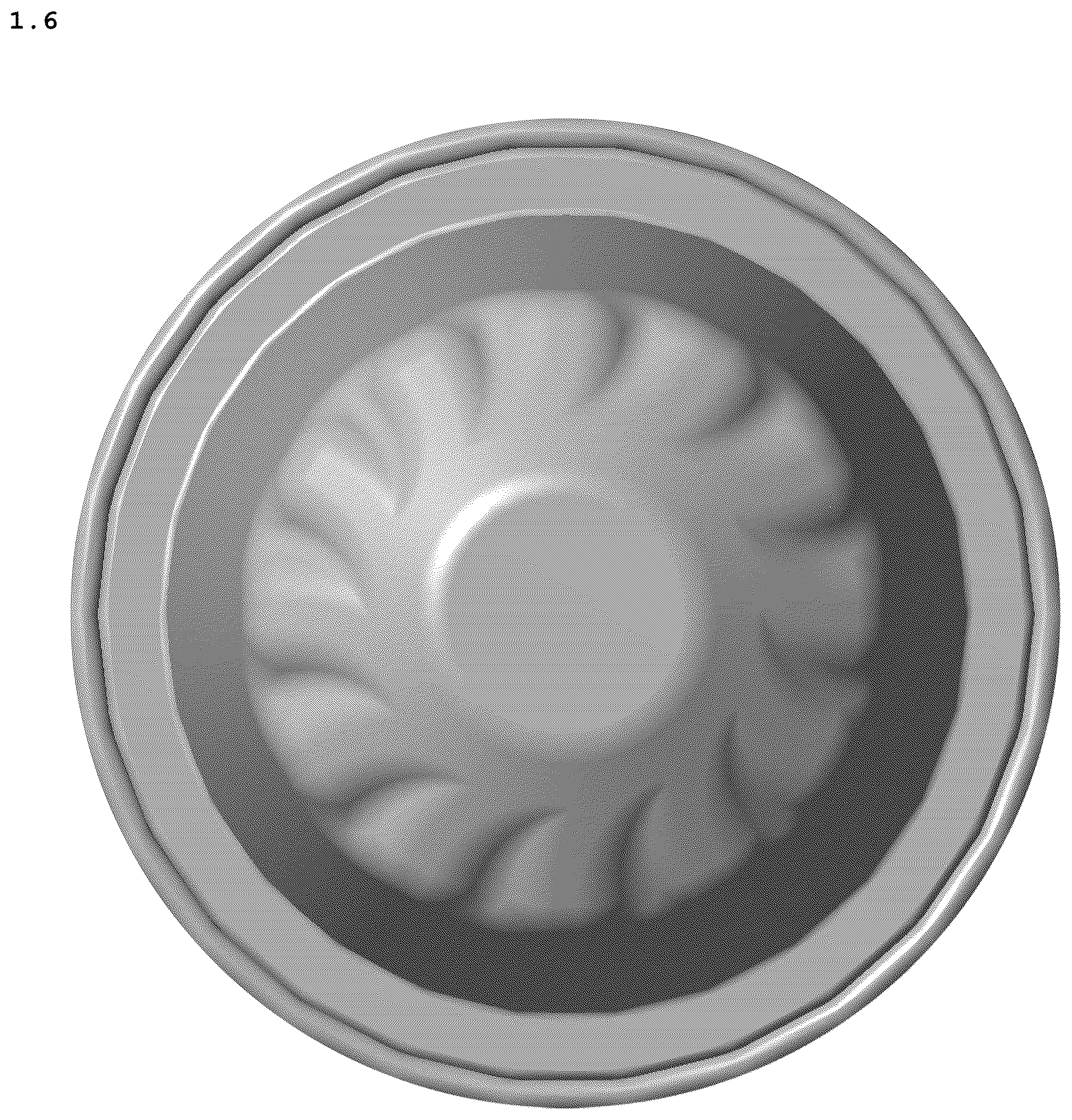 Patent USD1124862 Figure 6 – Capsule