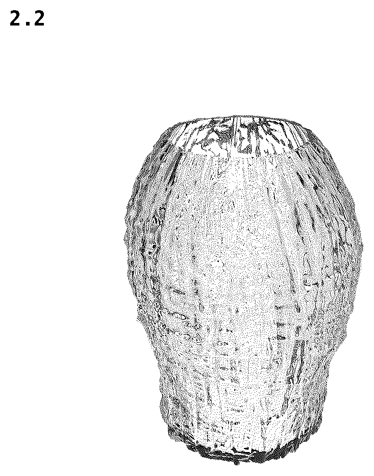 Patent USD1124949 Figure 2 – Flower vase