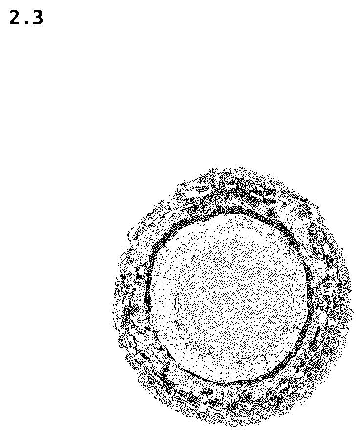 Patent USD1124949 Figure 3 – Flower vase