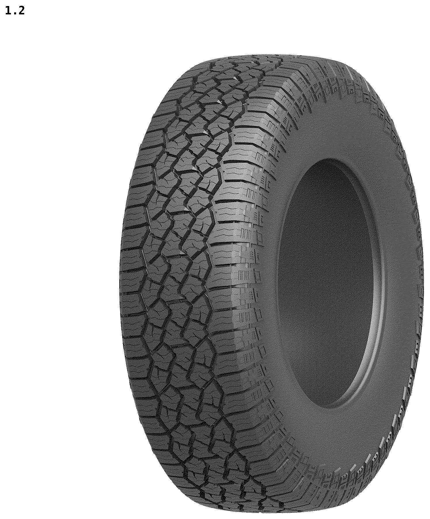 Patent USD1125026 Figure 2 – Tire