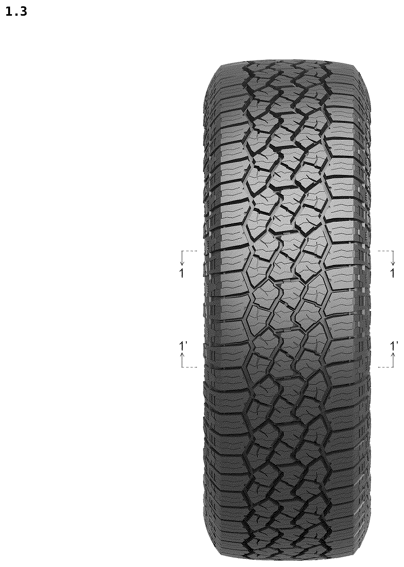 Patent USD1125026 Figure 3 – Tire