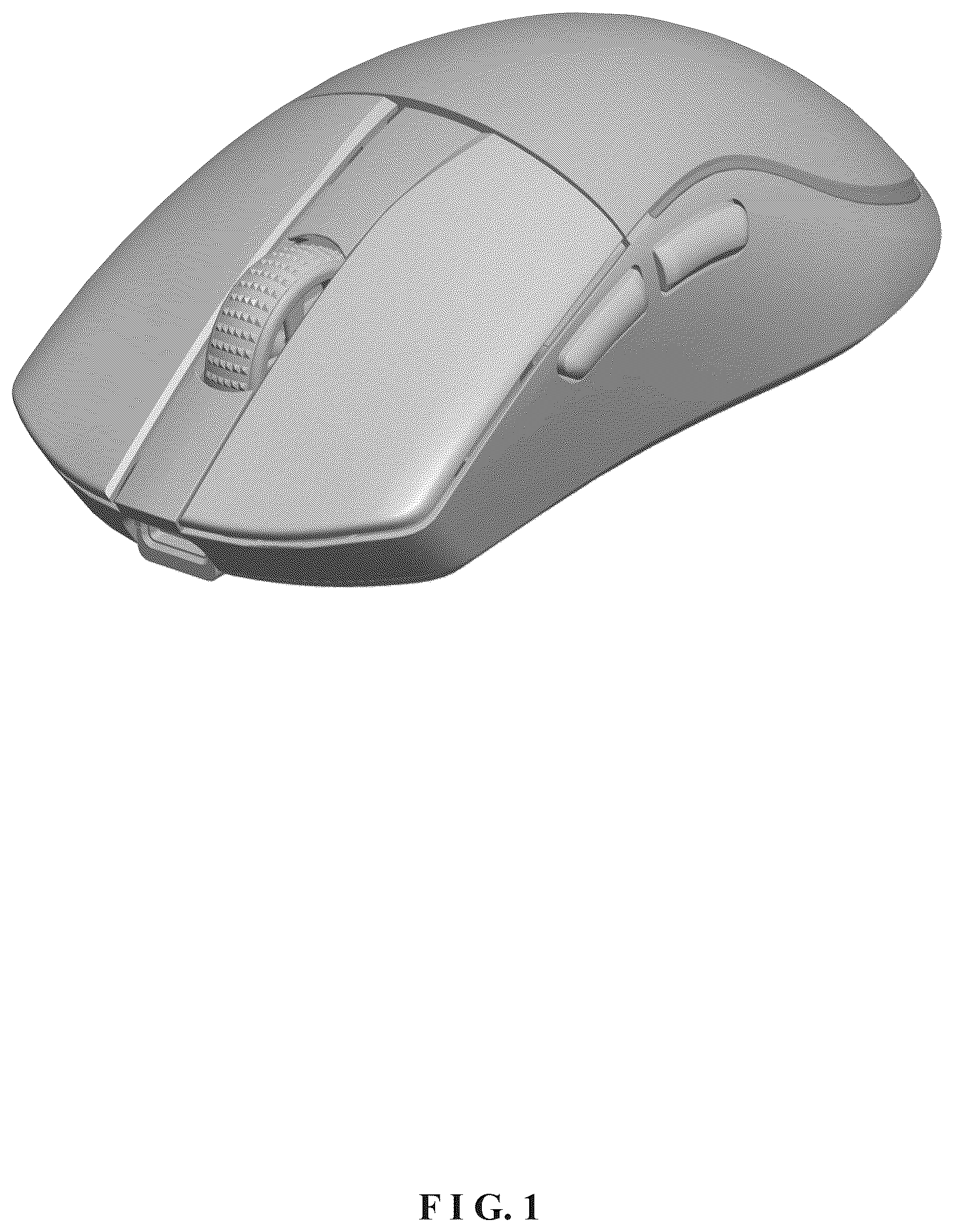 Patent USD1125165 Figure 1 – Mouse