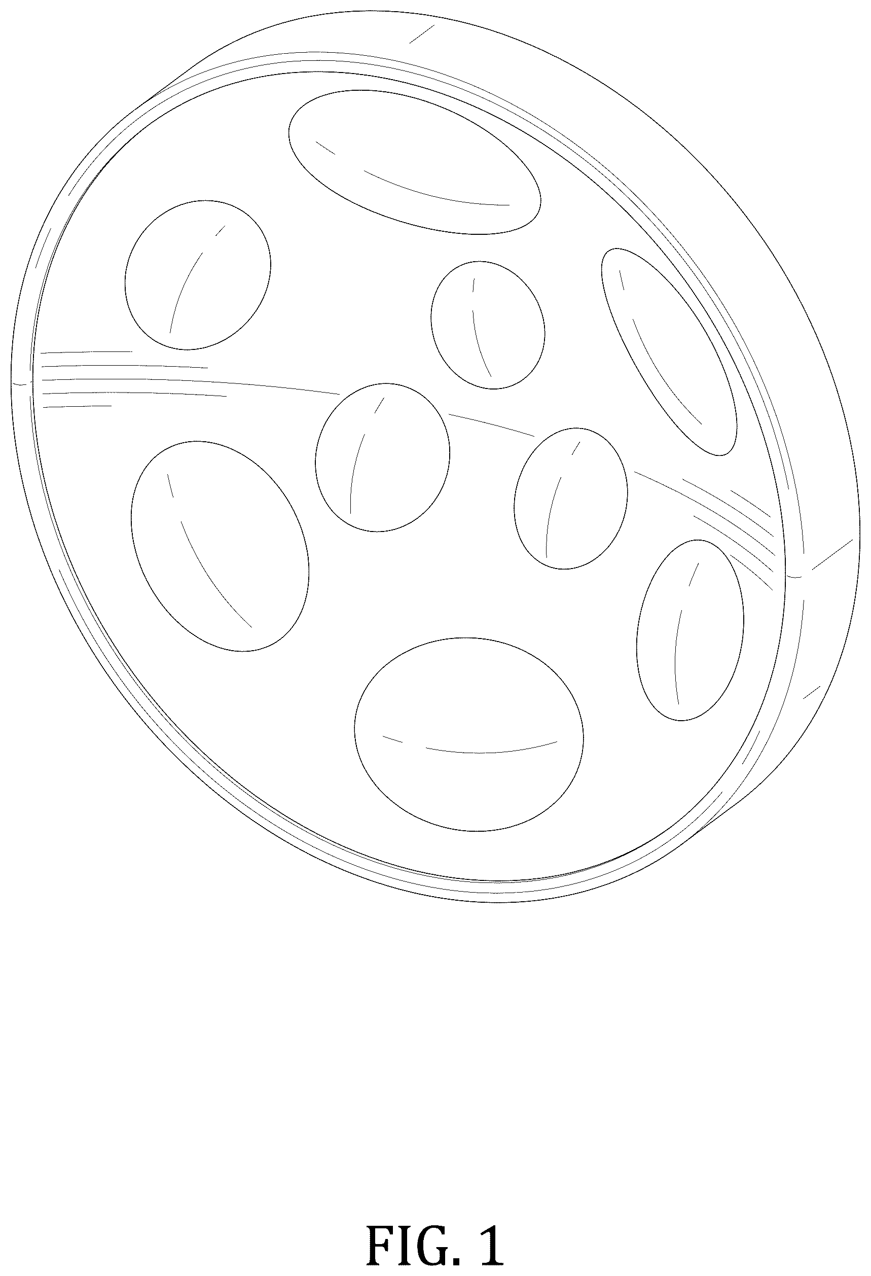 Patent USD1125353 Figure 1 – Nine-note steel drum