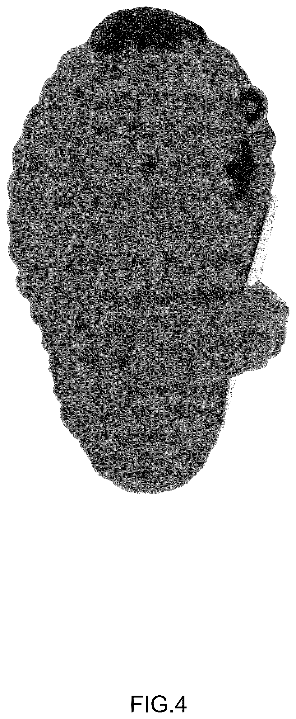Patent USD1125405 Figure 4 – Knitted toy