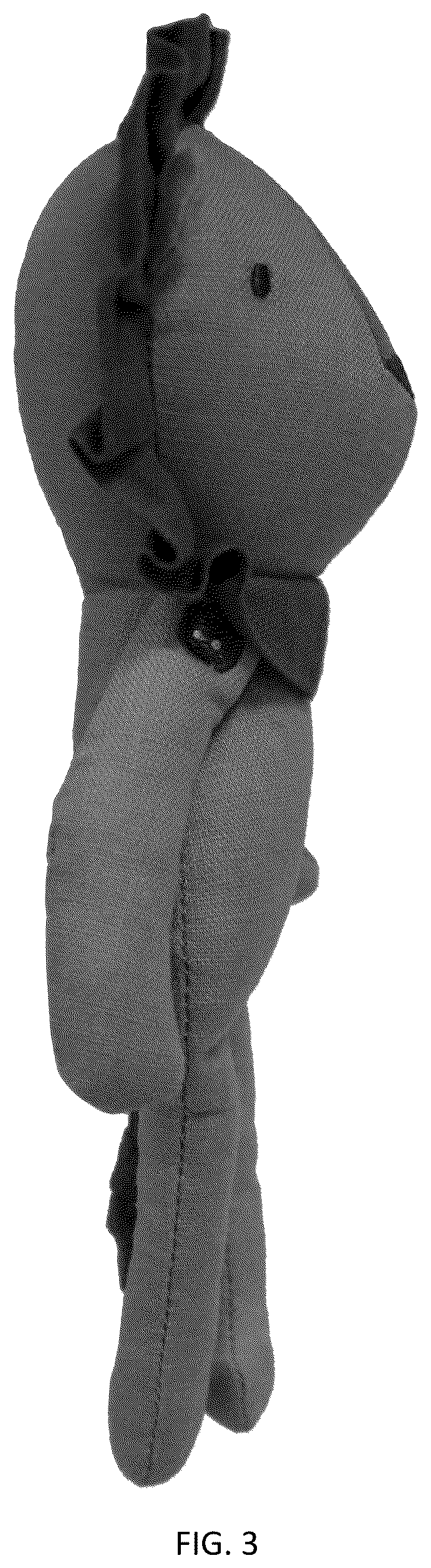 Patent USD1125407 Figure 3 – Toy
