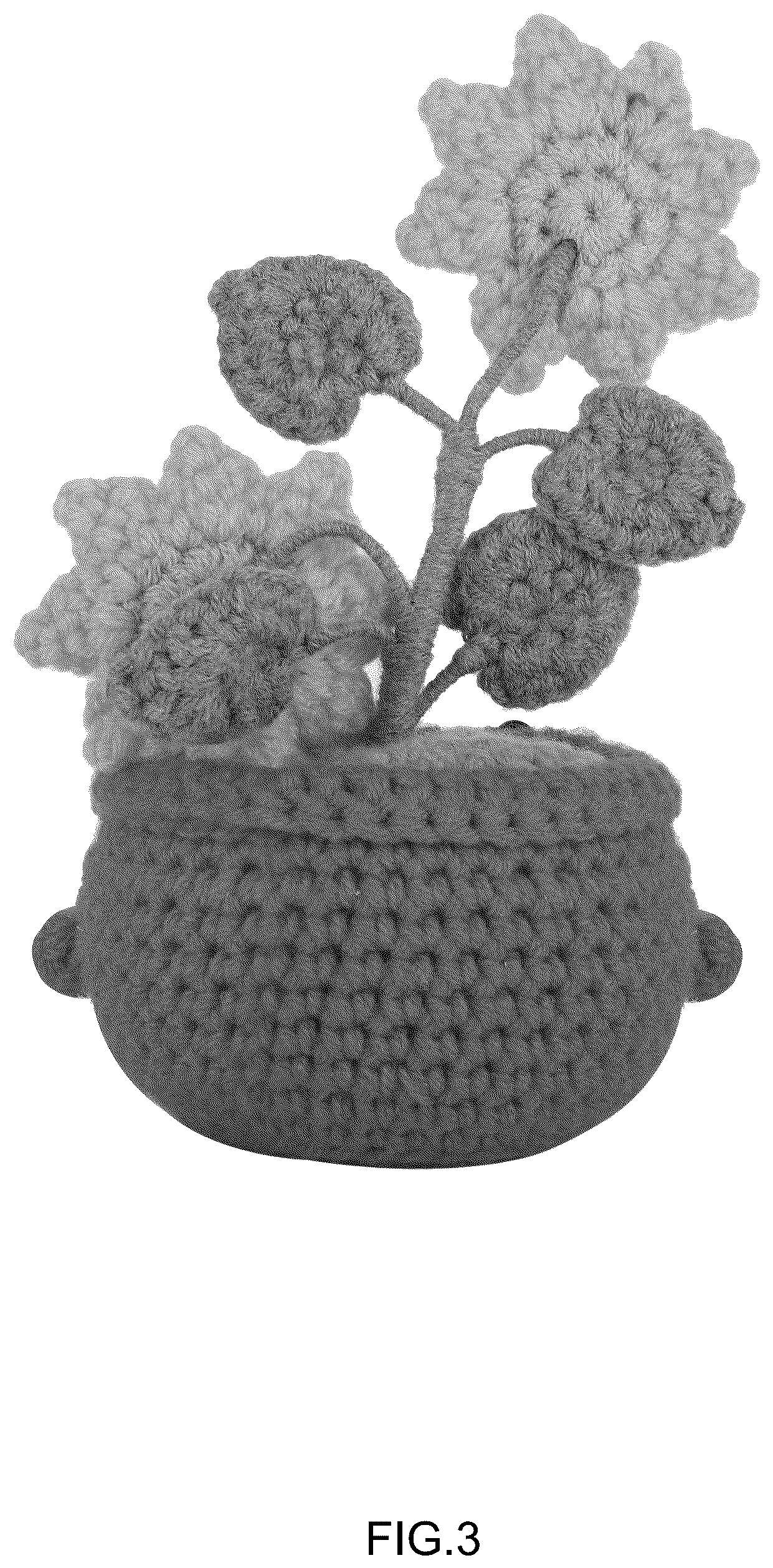 Patent USD1125408 Figure 3 – Knitted toy