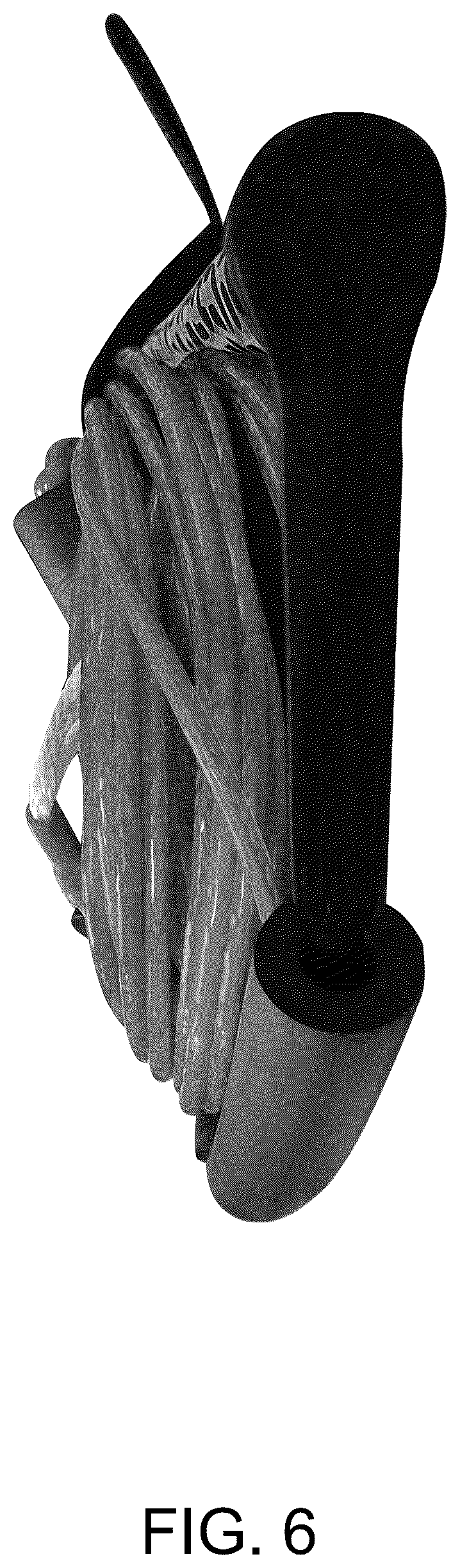 Patent USD1125426 Figure 6 – Water ski rope
