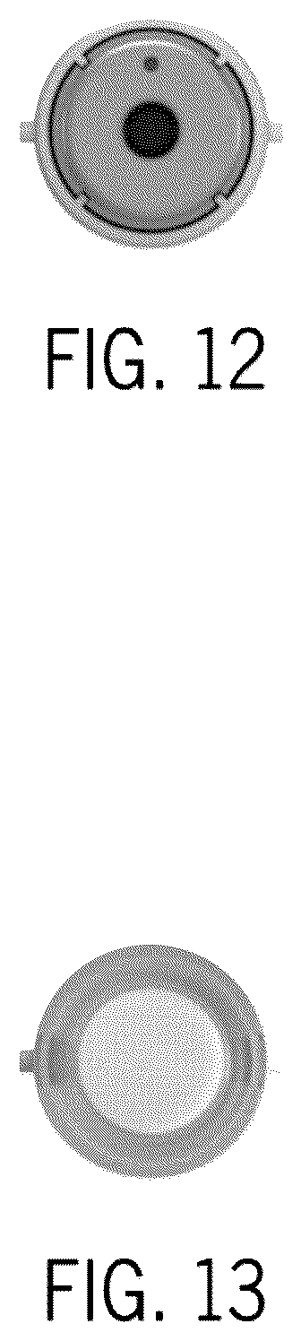 Patent USD1125538 Figure 11 – Medicine injector