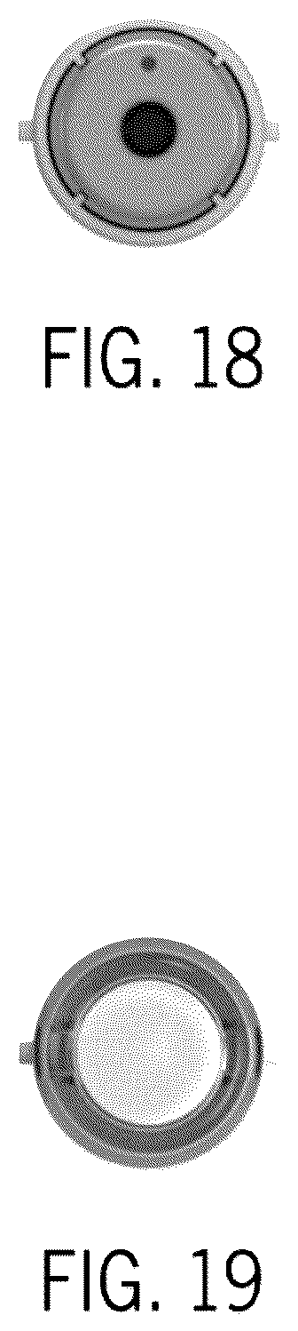 Patent USD1125538 Figure 16 – Medicine injector