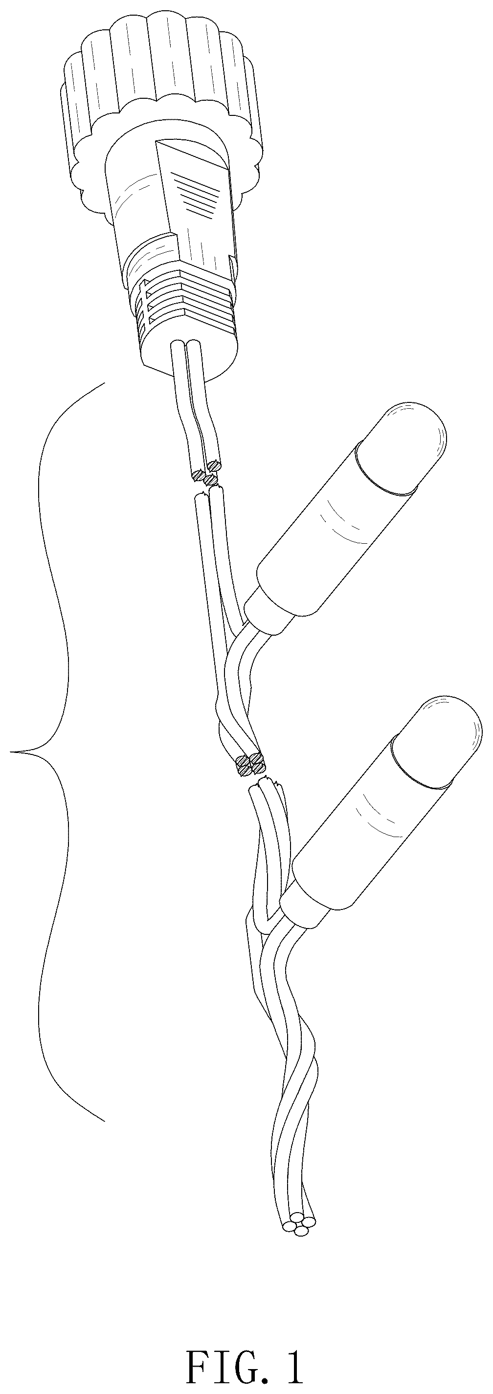 Patent USD1125621 Figure 1 – String light