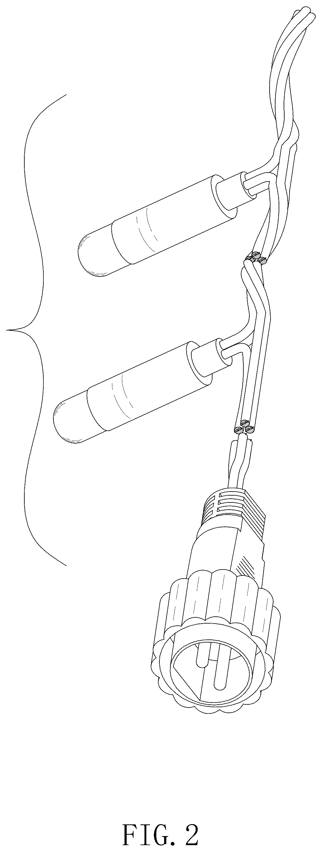 Patent USD1125621 Figure 2 – String light