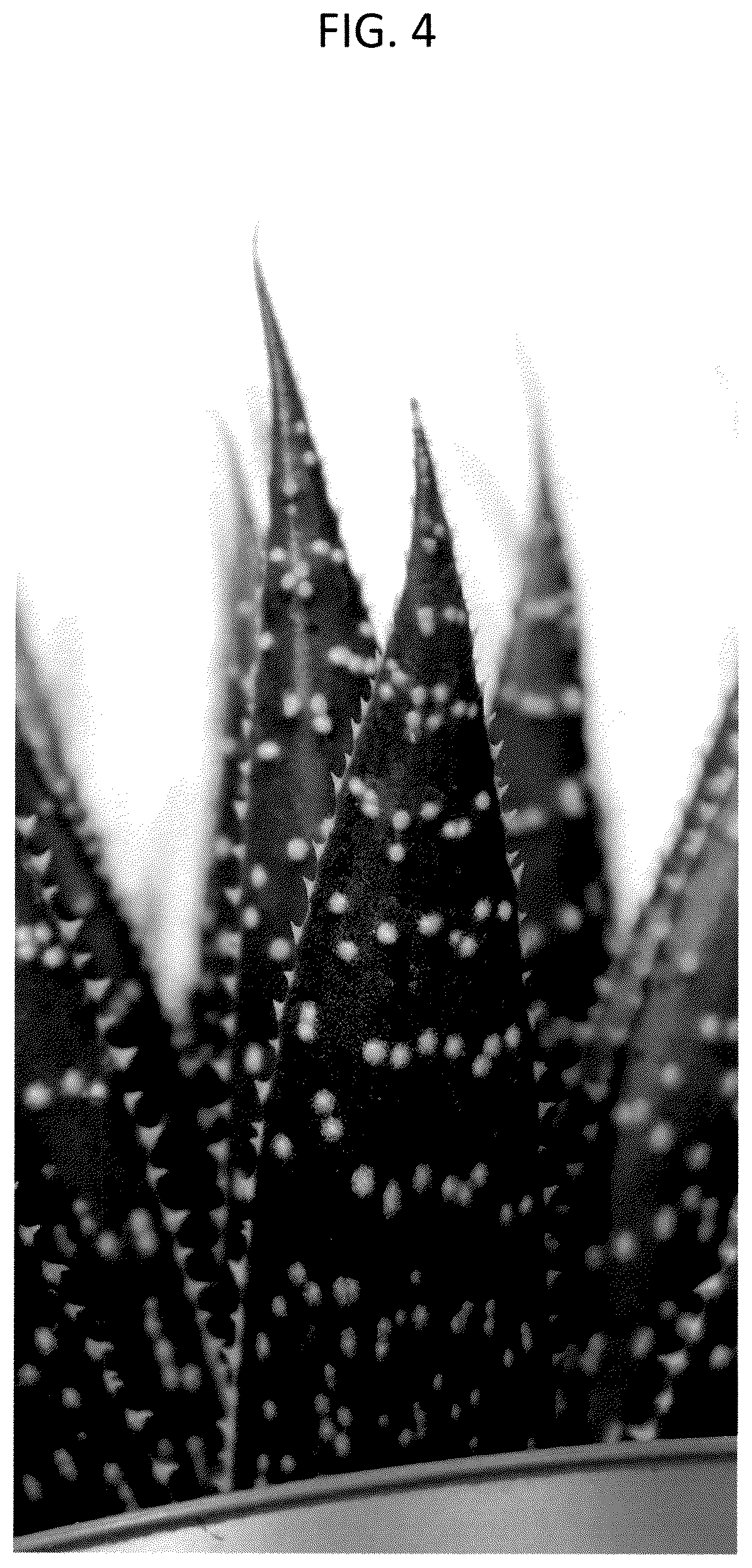 Patent USPP037245 Figure 4 – Aloe plant named ‘OVROCKS14’