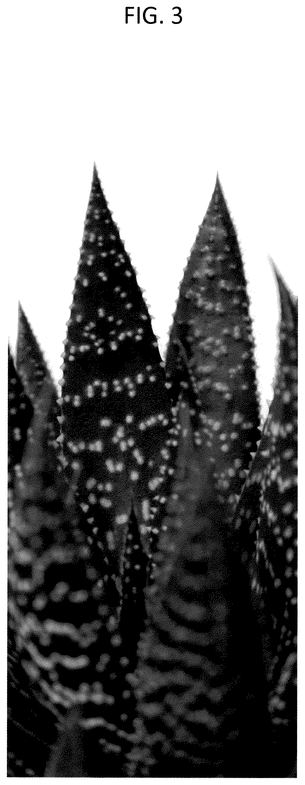 Patent USPP037262 Figure 3 – Aristeria plant named ‘OVROCKS13’