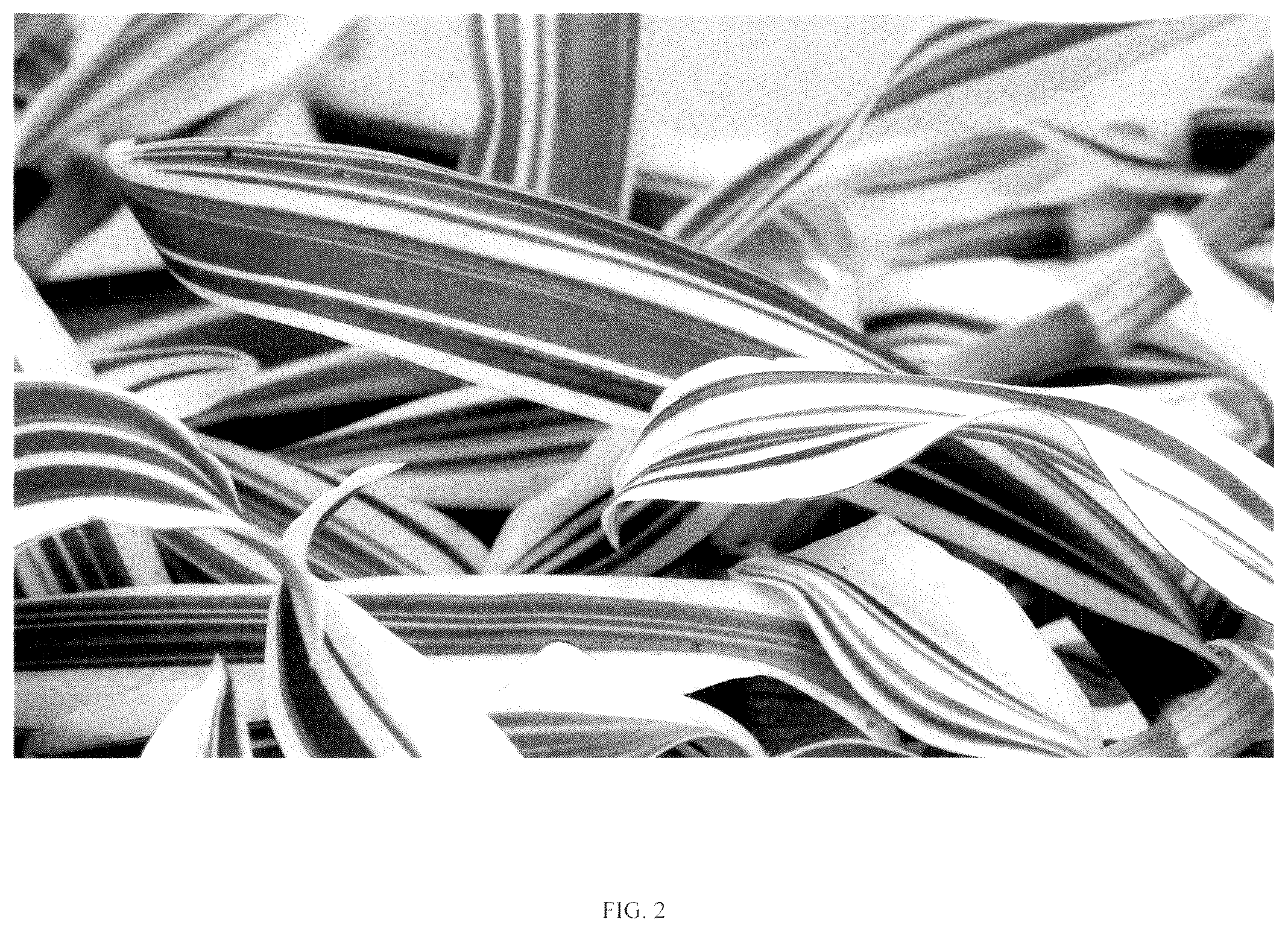 Patent USPP037265 Figure 2 – Murdannia plant named ‘EC-MURD-2504’