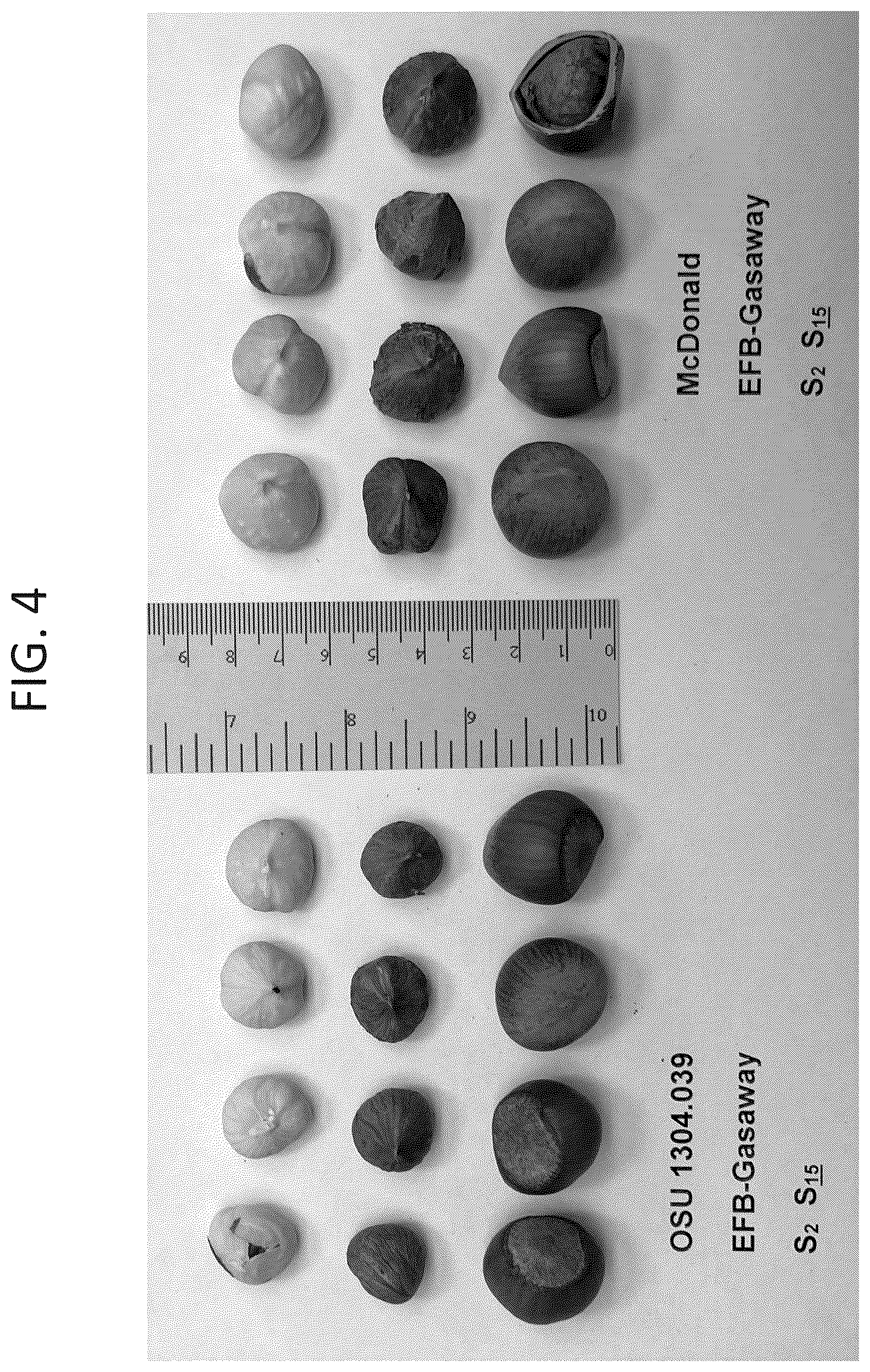 Patent USPP037267 Figure 4 – 