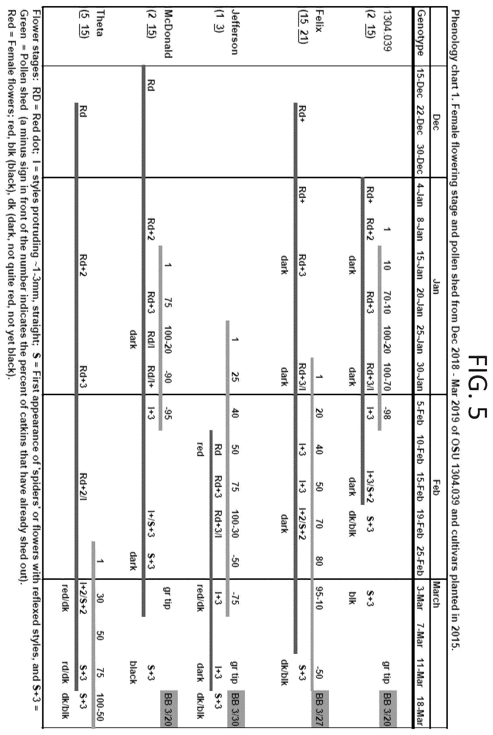 Patent USPP037267 Figure 5 – 