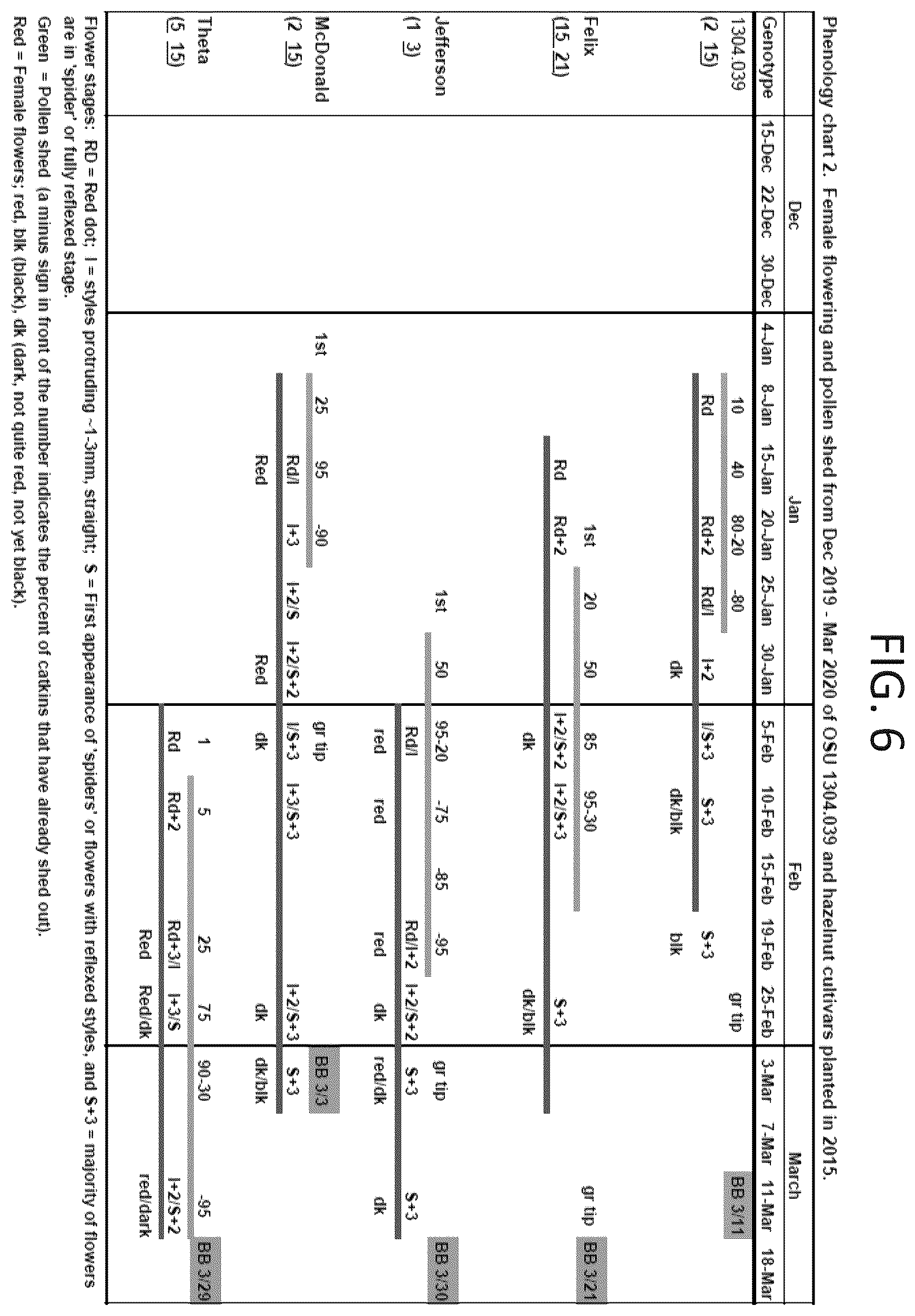 Patent USPP037267 Figure 6 – 