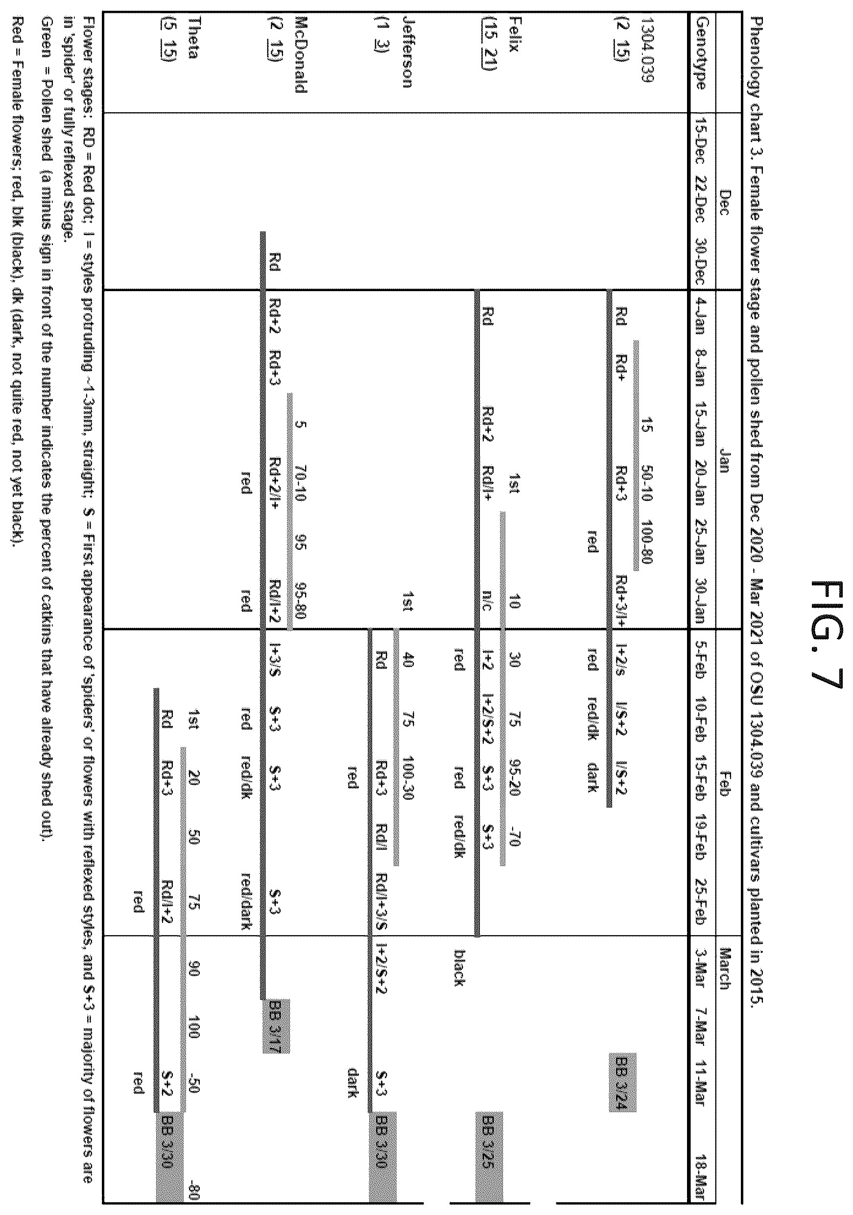 Patent USPP037267 Figure 7 – 