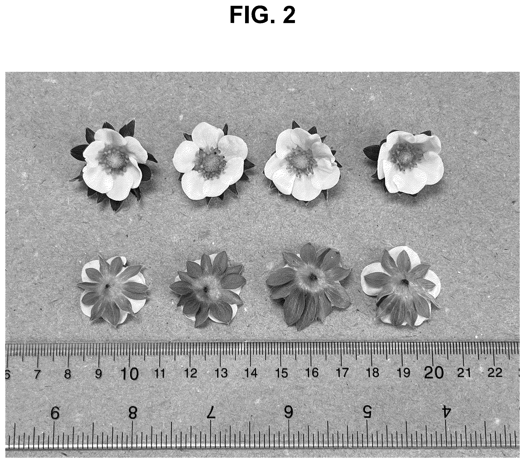 Patent USPP037270 Figure 2 – Strawberry plant named ‘PE-14.250.070’