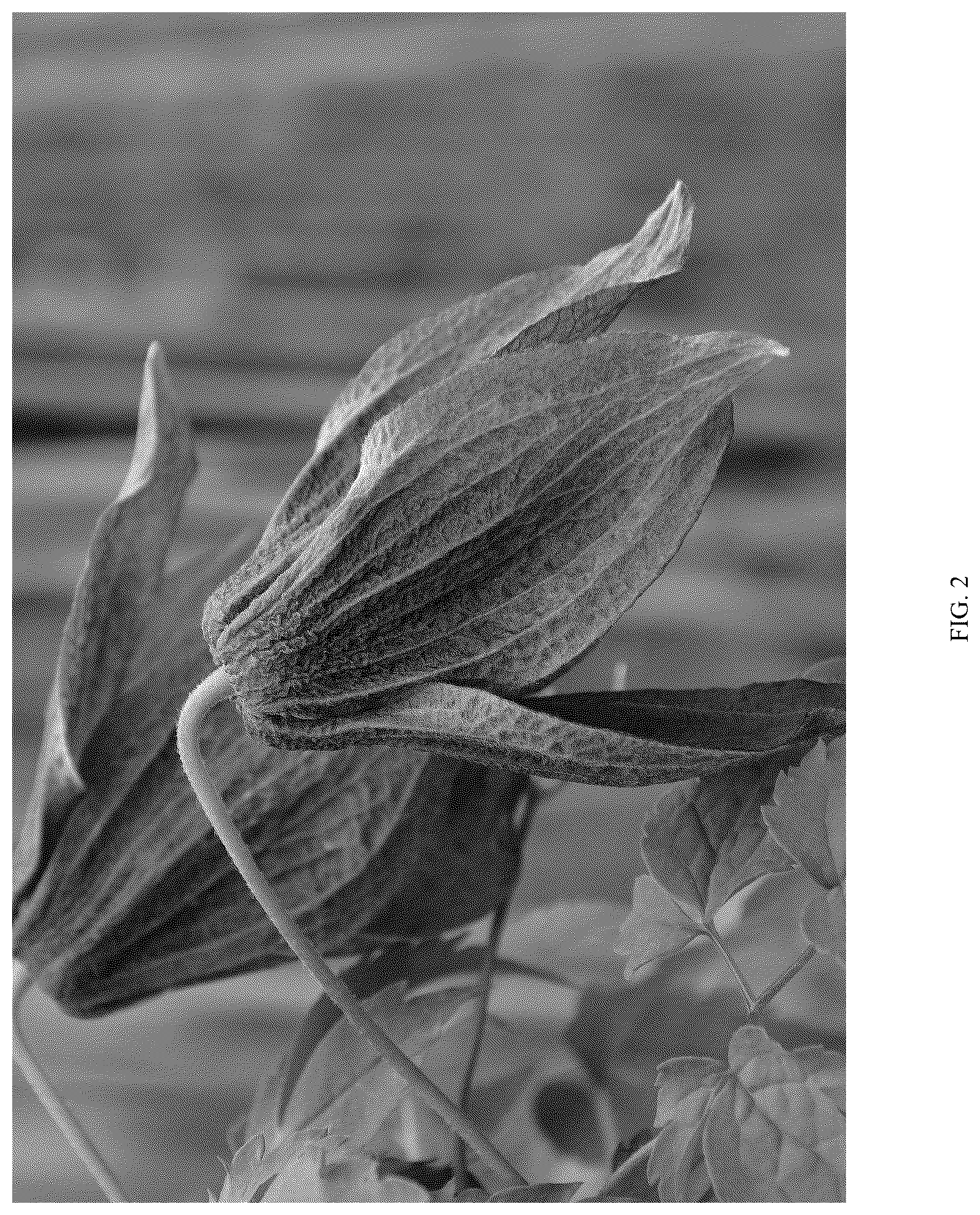Patent USPP037273 Figure 2 – Clematis plant named ‘Violet Lampion’
