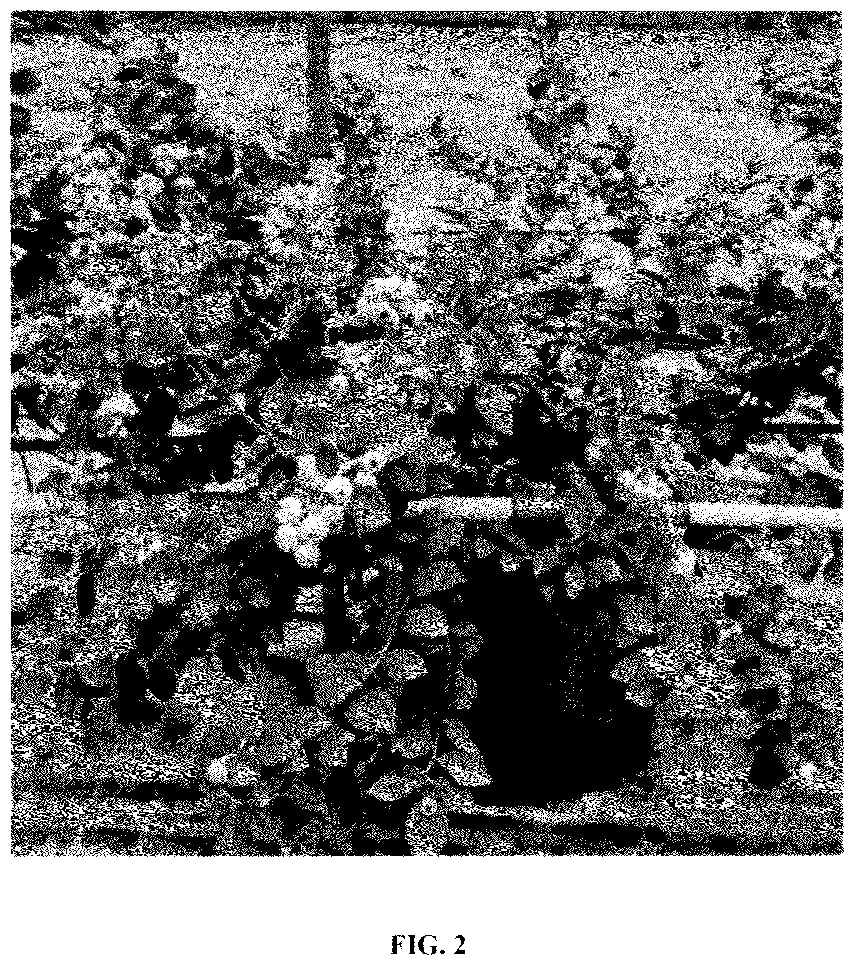 Patent USPP037280 Figure 2 – Blueberry plant named ‘IBUGA001’
