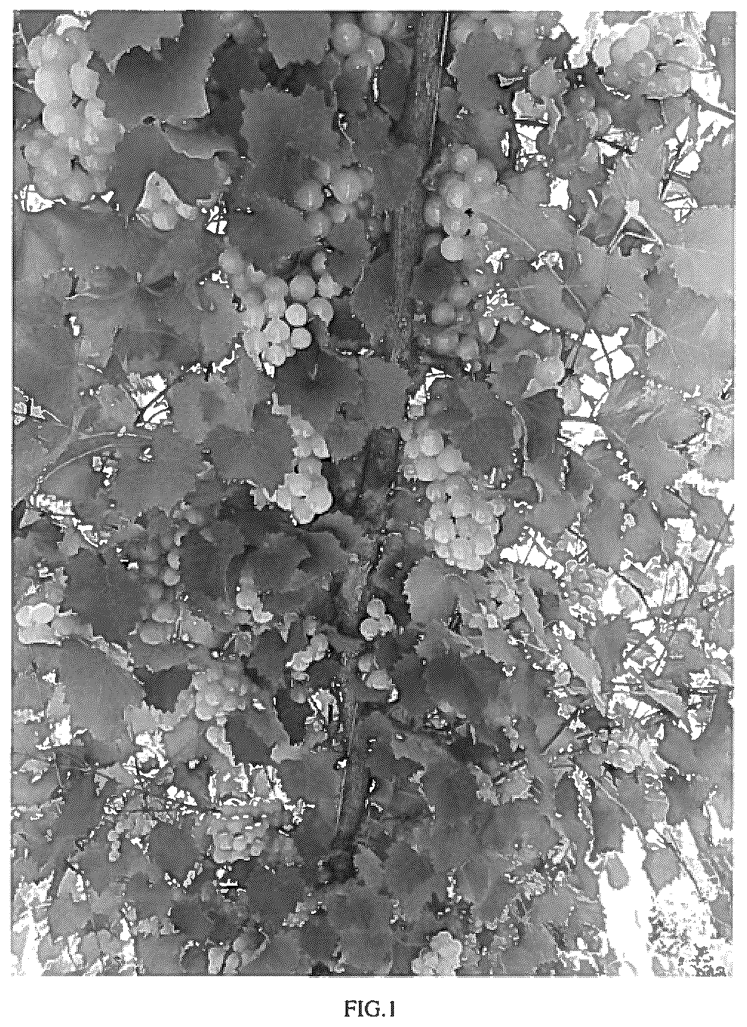 Patent USPP037281 Figure 1 – Grapevine plant named ‘JB 12-24-E4-12’