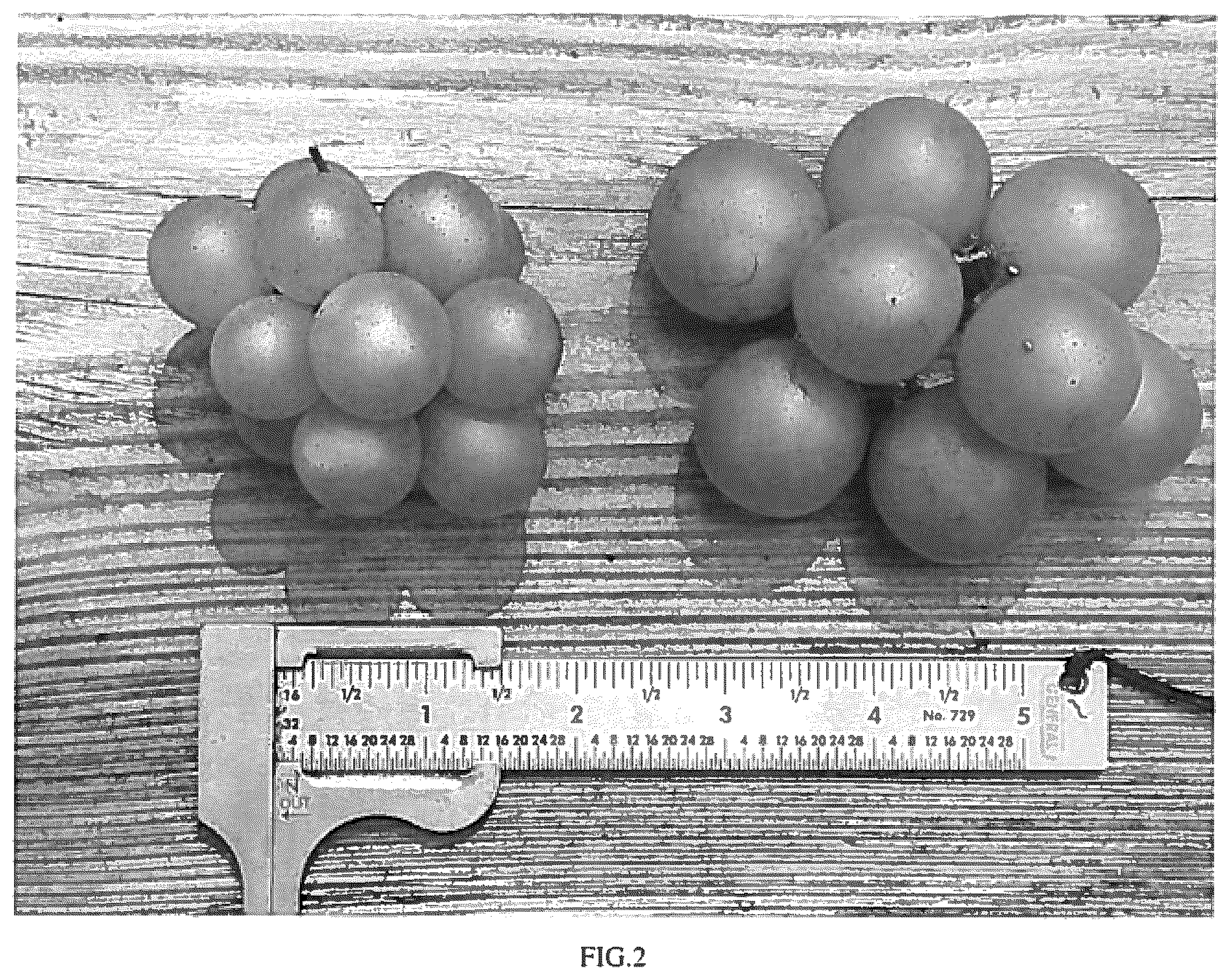 Patent USPP037281 Figure 2 – Grapevine plant named ‘JB 12-24-E4-12’