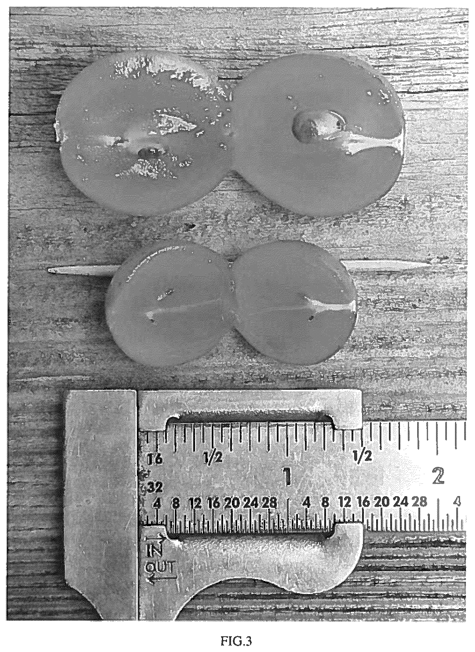 Patent USPP037281 Figure 3 – Grapevine plant named ‘JB 12-24-E4-12’