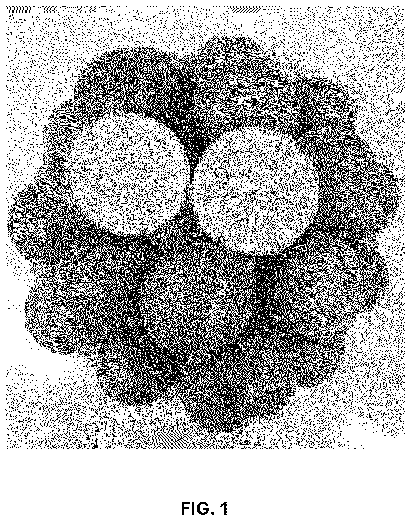Patent USPP037293 — Hybrid lime plant named ‘C4-5-14’ — Figure 1