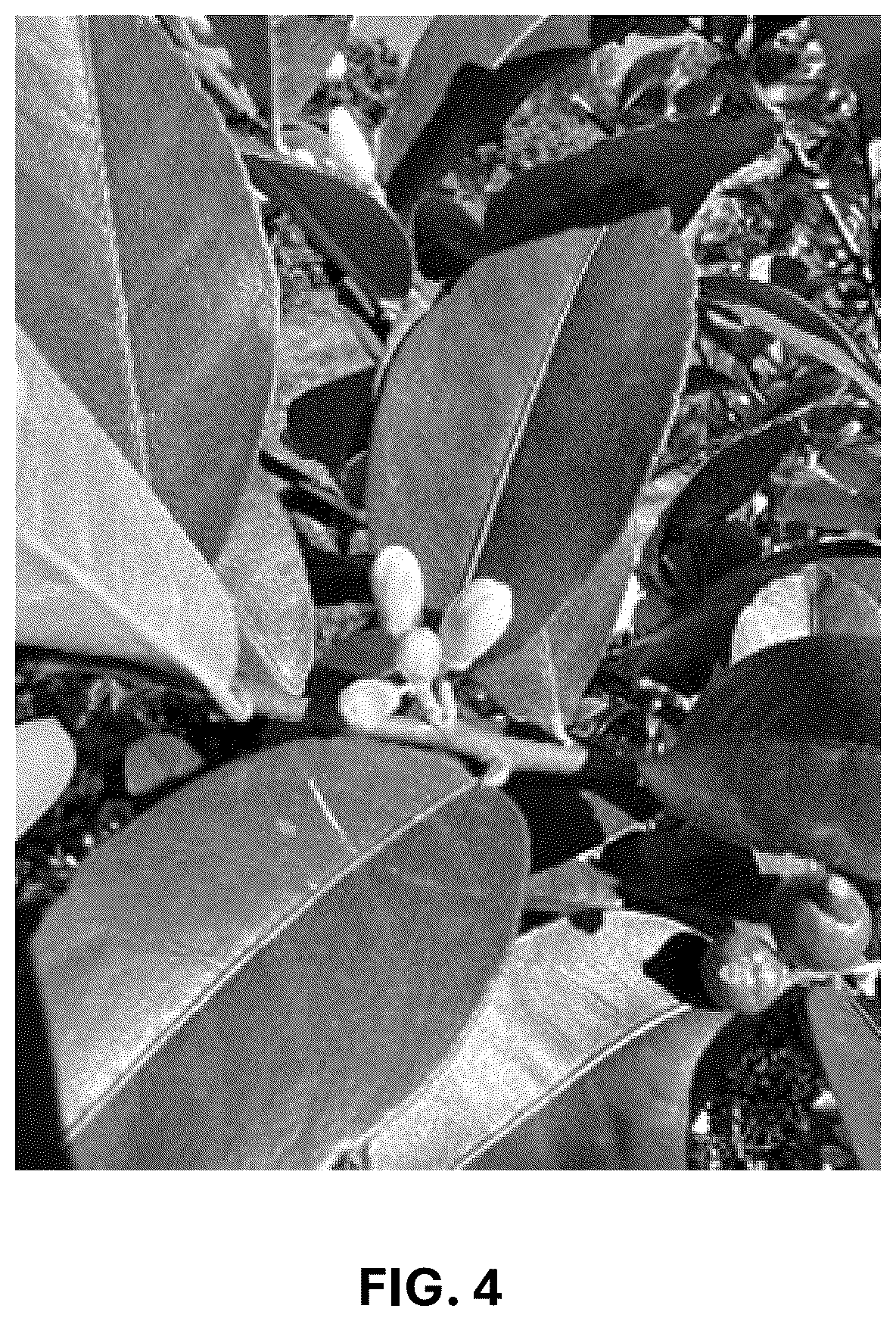 Patent USPP037293 Figure 4 – Hybrid lime plant named ‘C4-5-14’